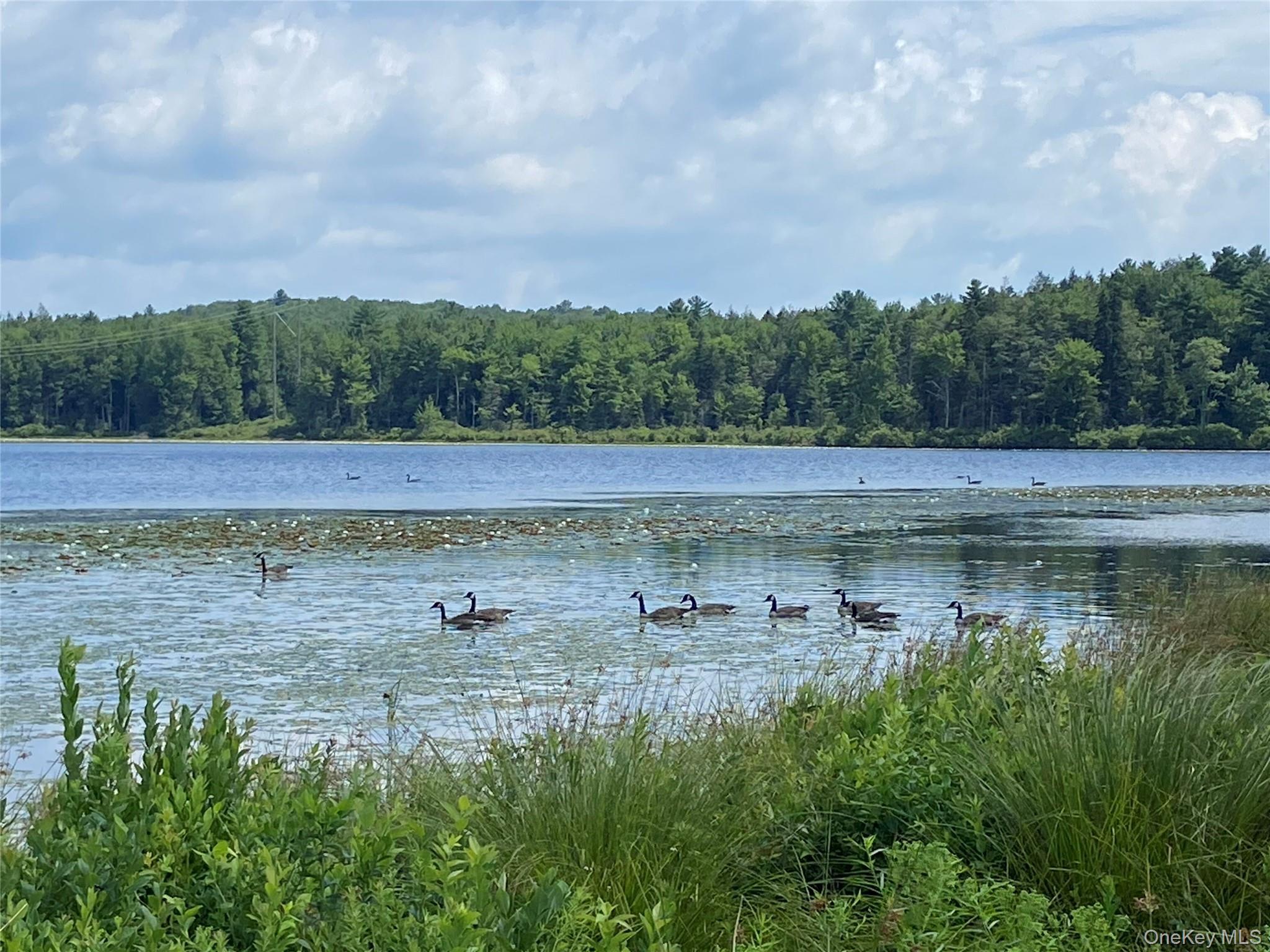 Single Family Bailey Lake  Sullivan County, NY 12751, MLS-894738-3