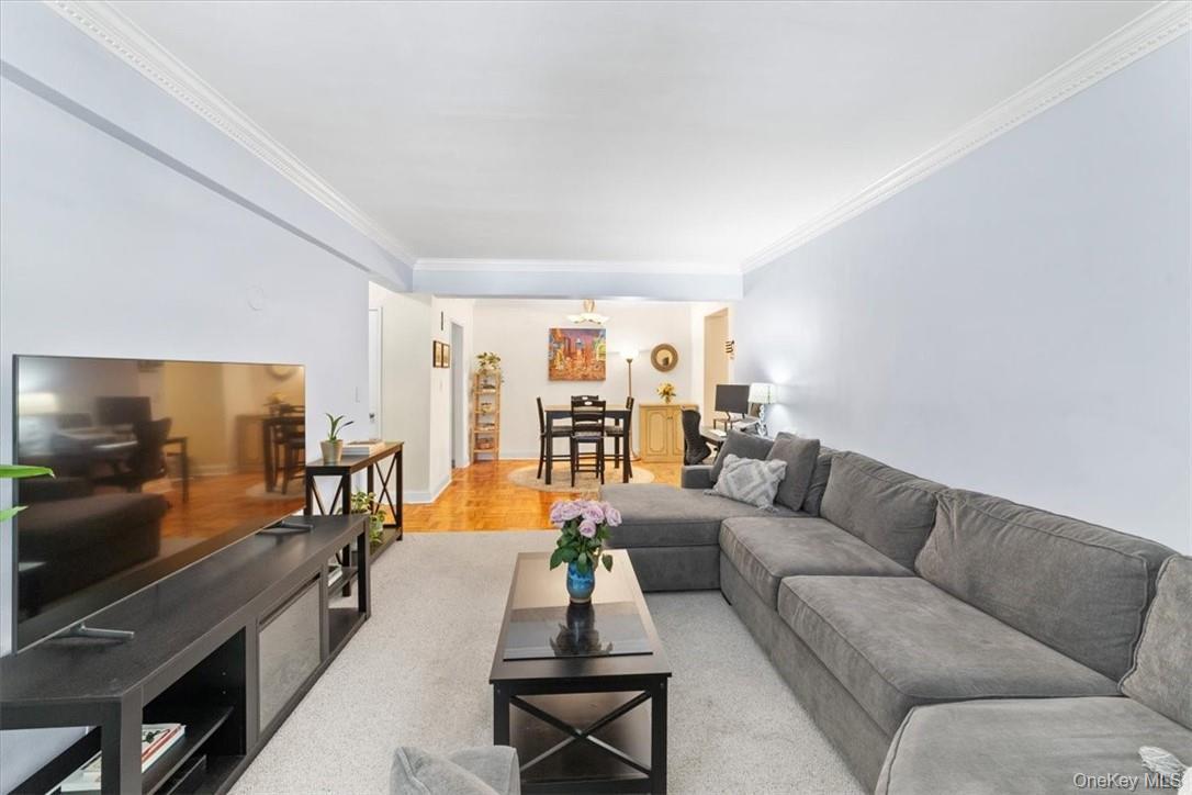 Coop King  Westchester County, NY 10573, MLS-895129-13