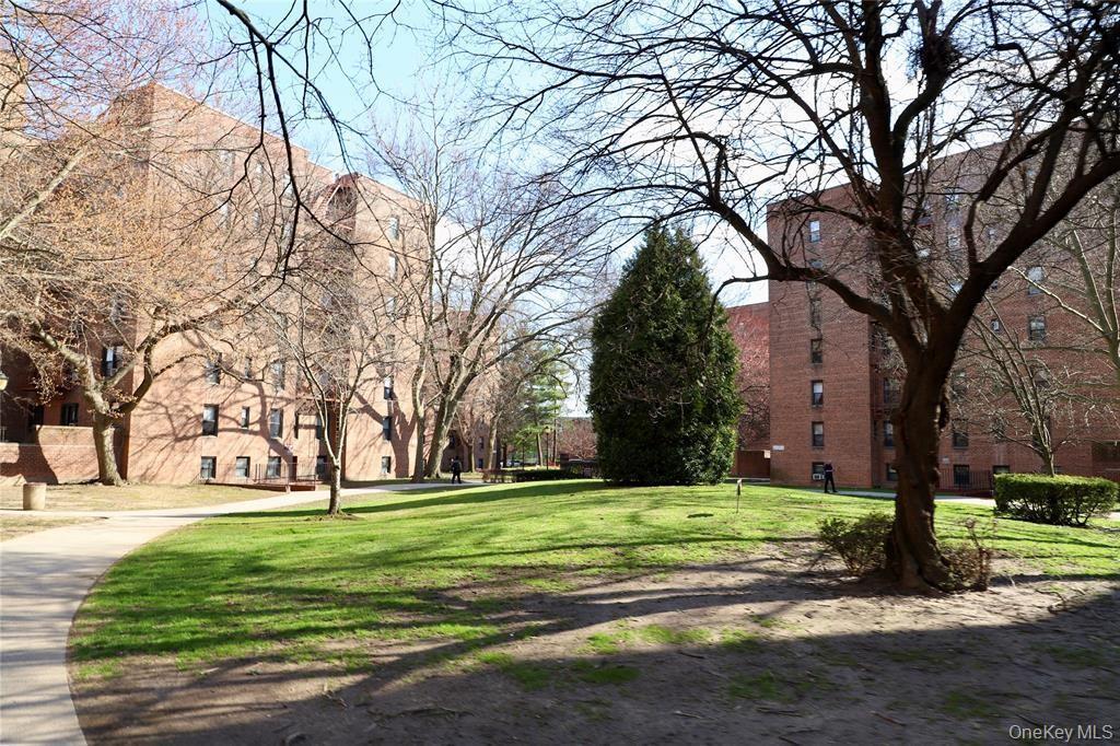 Coop 72nd  Queens, NY 11367, MLS-895313-18