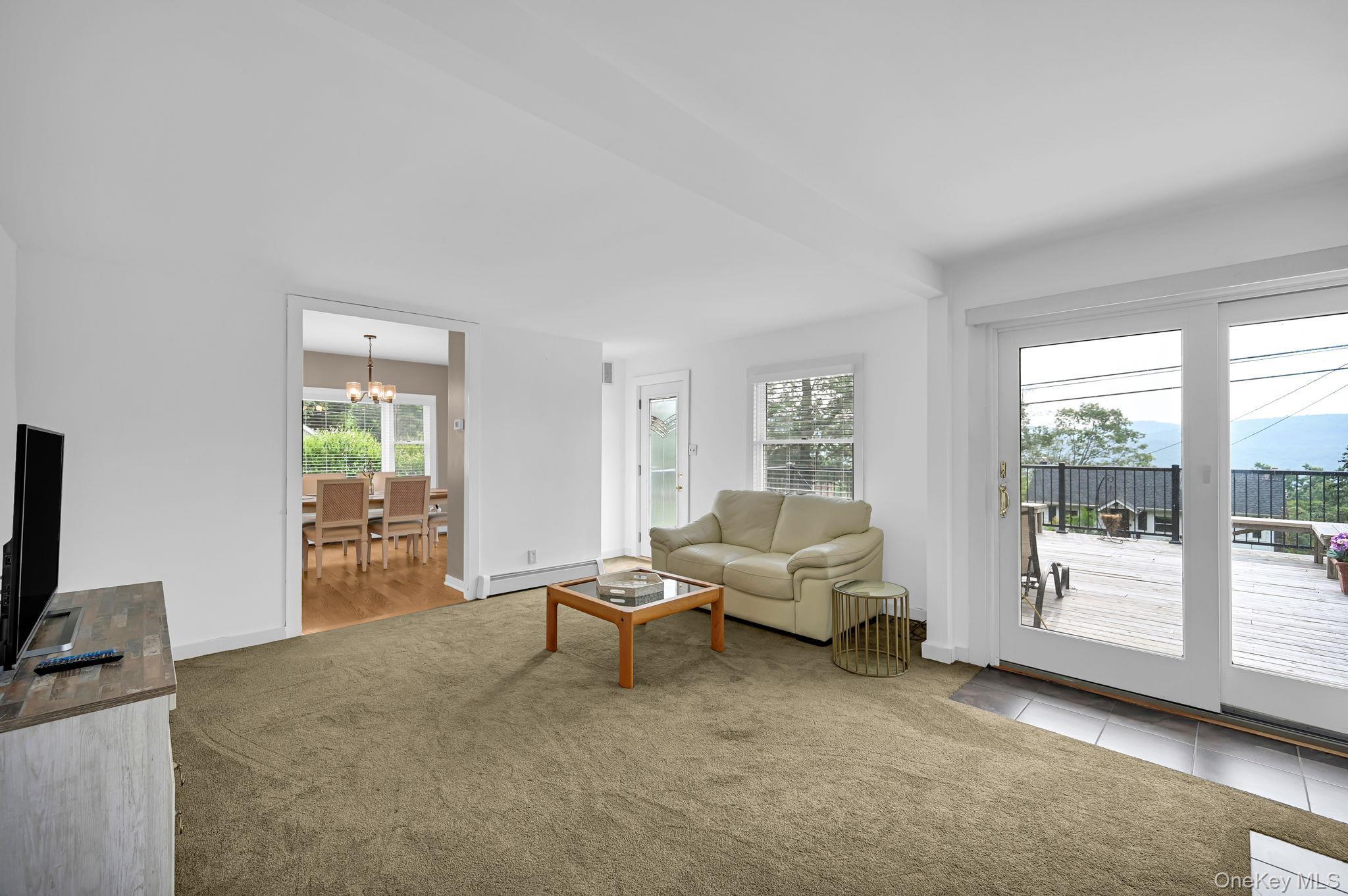 Single Family Blueberry Orange County, NY 10925, MLS-895478-10