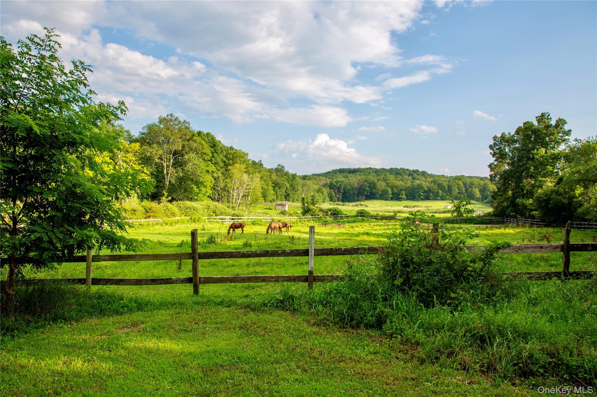 Single Family Cold Spring Dutchess County, NY 12581, MLS-895541-30