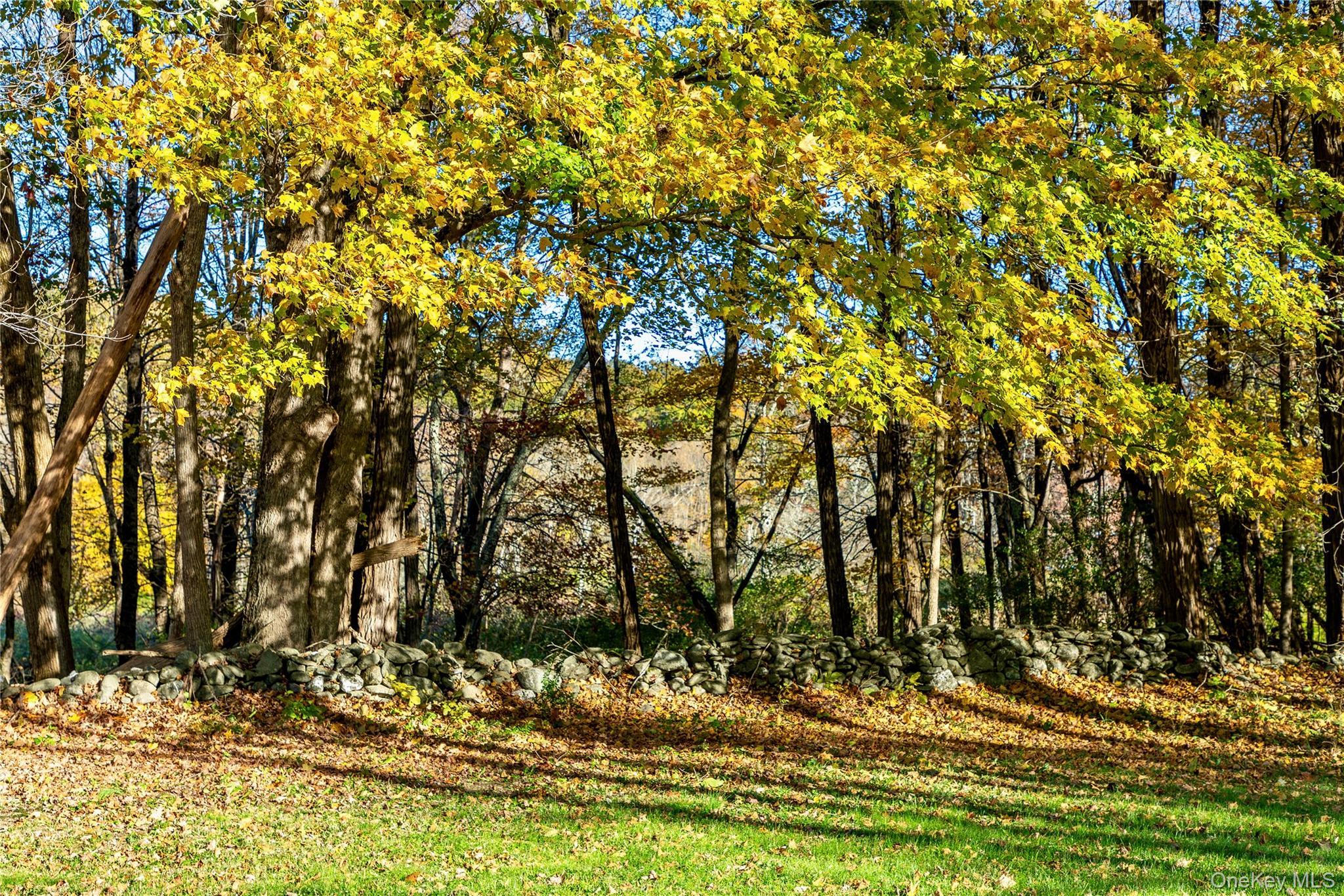 Single Family Cold Spring Dutchess County, NY 12581, MLS-895541-41