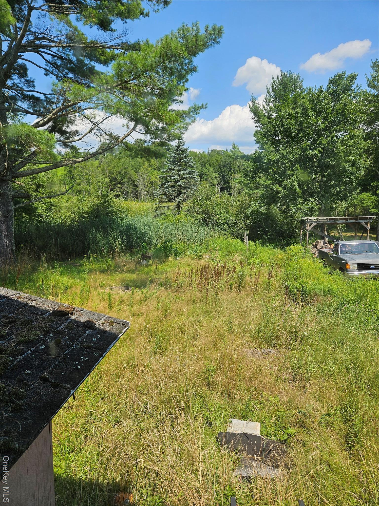 Single Family Briscoe  Sullivan County, NY 12783, MLS-895582-14