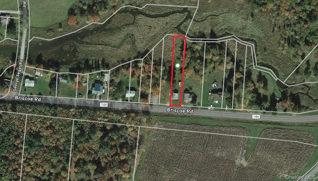 Single Family Briscoe  Sullivan County, NY 12783, MLS-895582-18