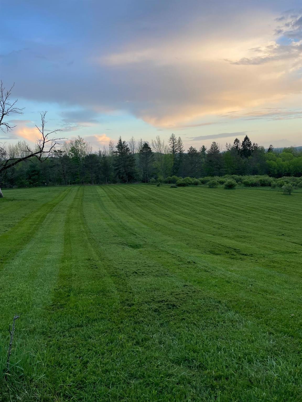 Single Family Budd Sullivan County, NY 12788, MLS-895706-6