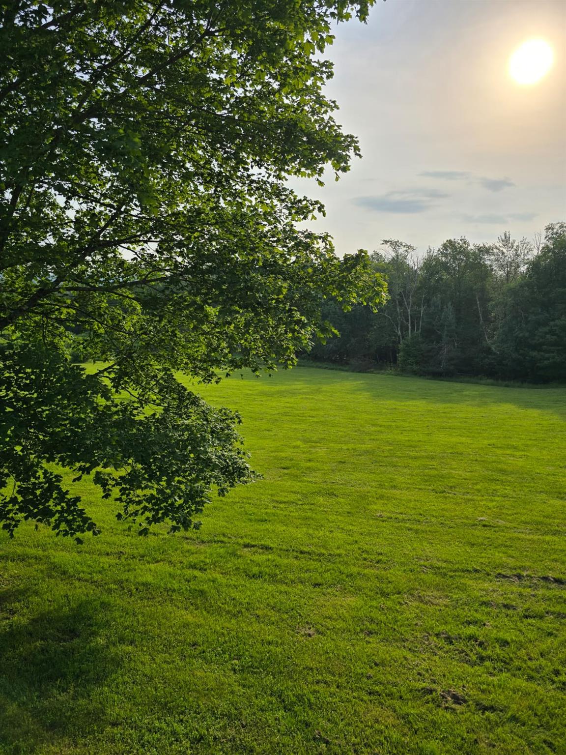 Single Family Budd Sullivan County, NY 12788, MLS-895706-9