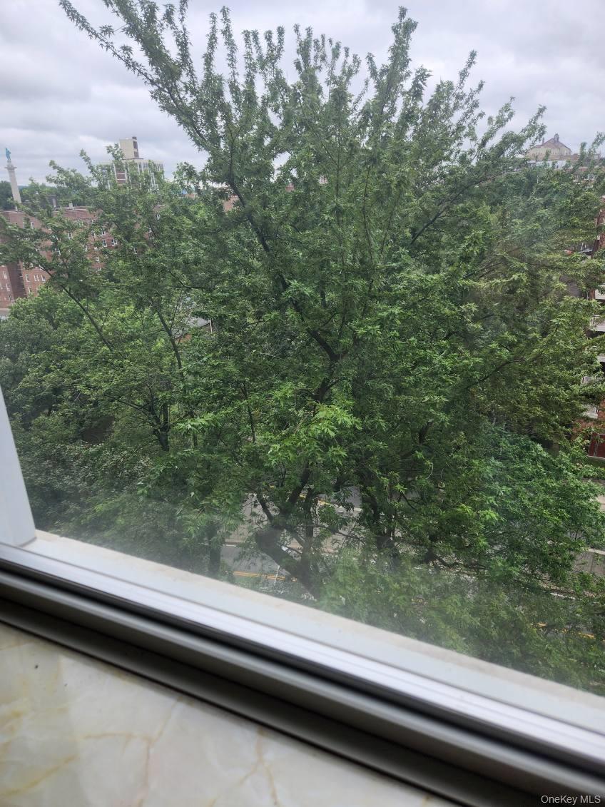 Coop Knolls Bronx, NY 10463, MLS-895794-6