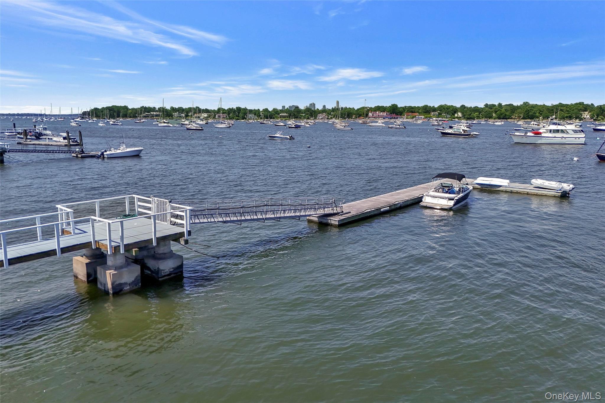 Single Family Flagler  Westchester County, NY 10543, MLS-895880-39