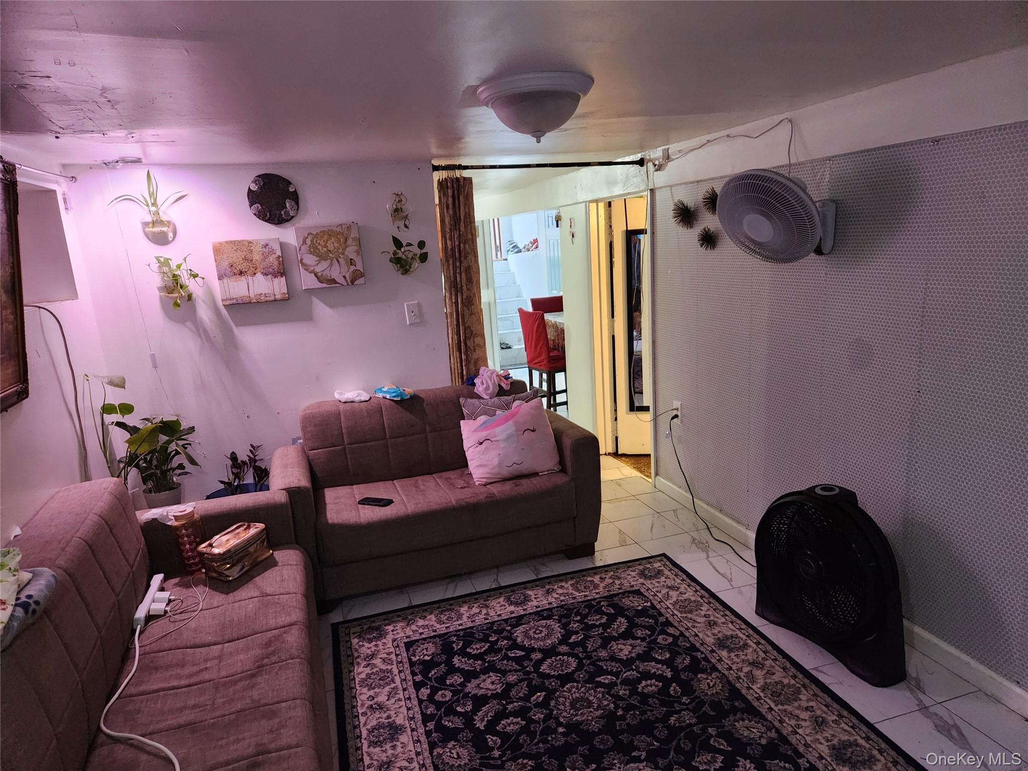 Single Family Drew  Brooklyn, NY 11208, MLS-896346-11