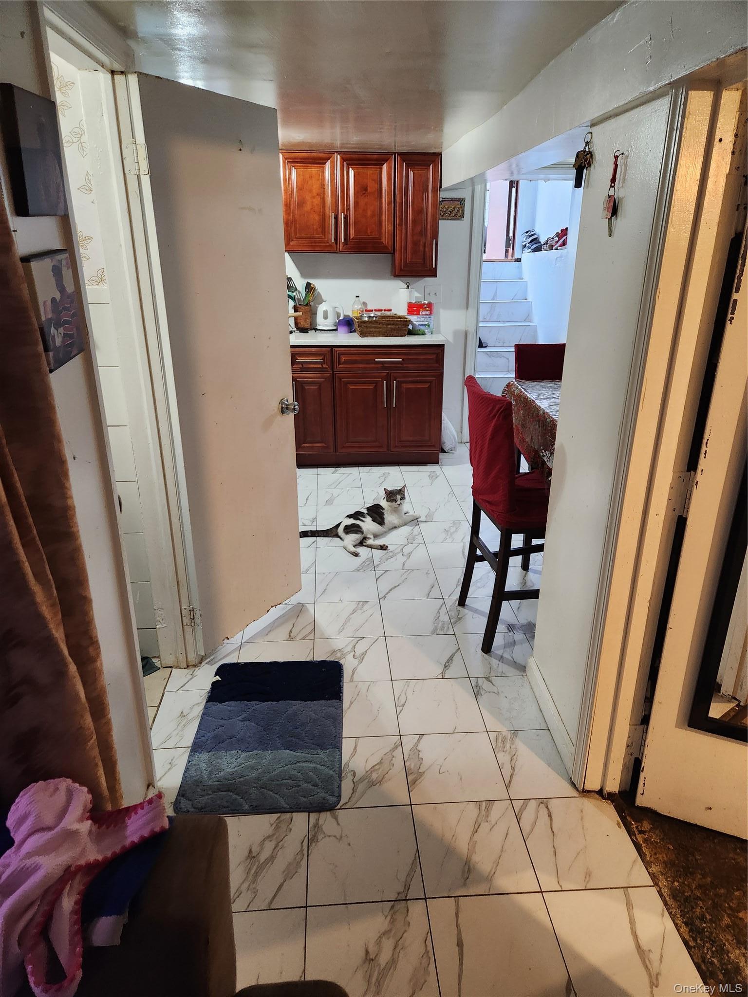 Single Family Drew  Brooklyn, NY 11208, MLS-896346-9