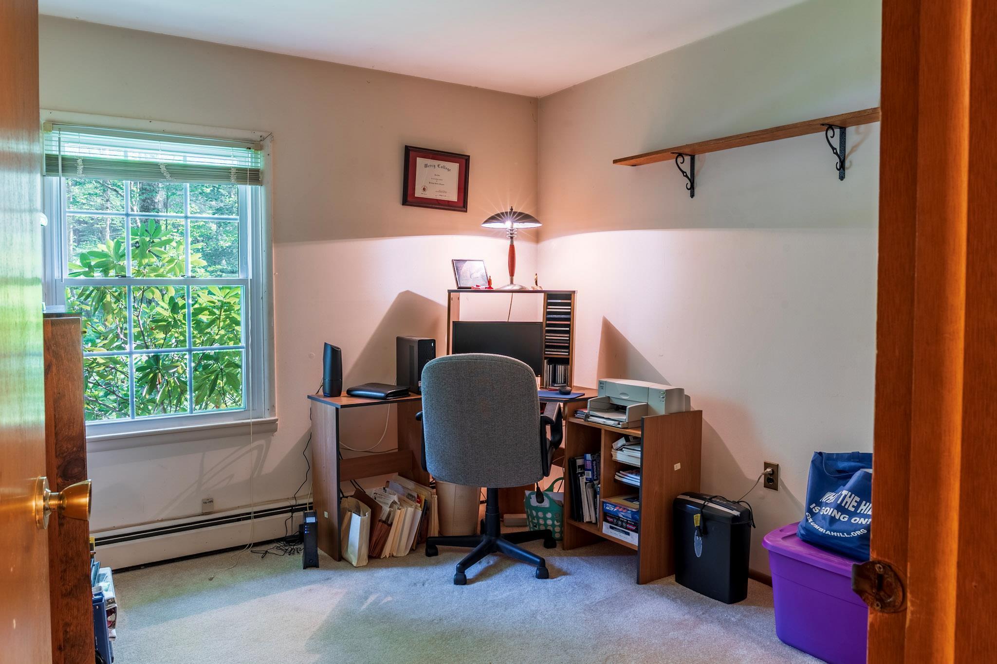 Single Family Mitteer  Sullivan County, NY 12747, MLS-896355-20