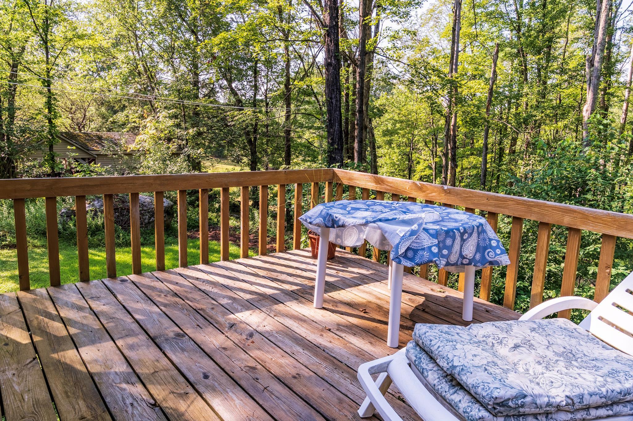 Single Family Mitteer  Sullivan County, NY 12747, MLS-896355-7