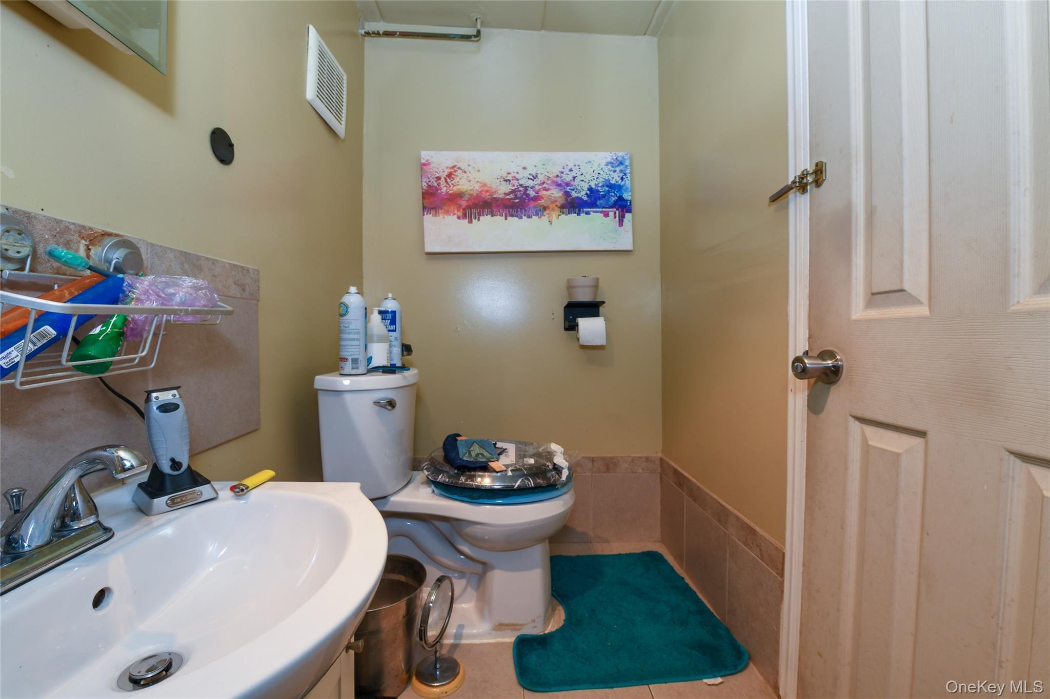 Single Family Sutphin Queens, NY 11435, MLS-896383-10