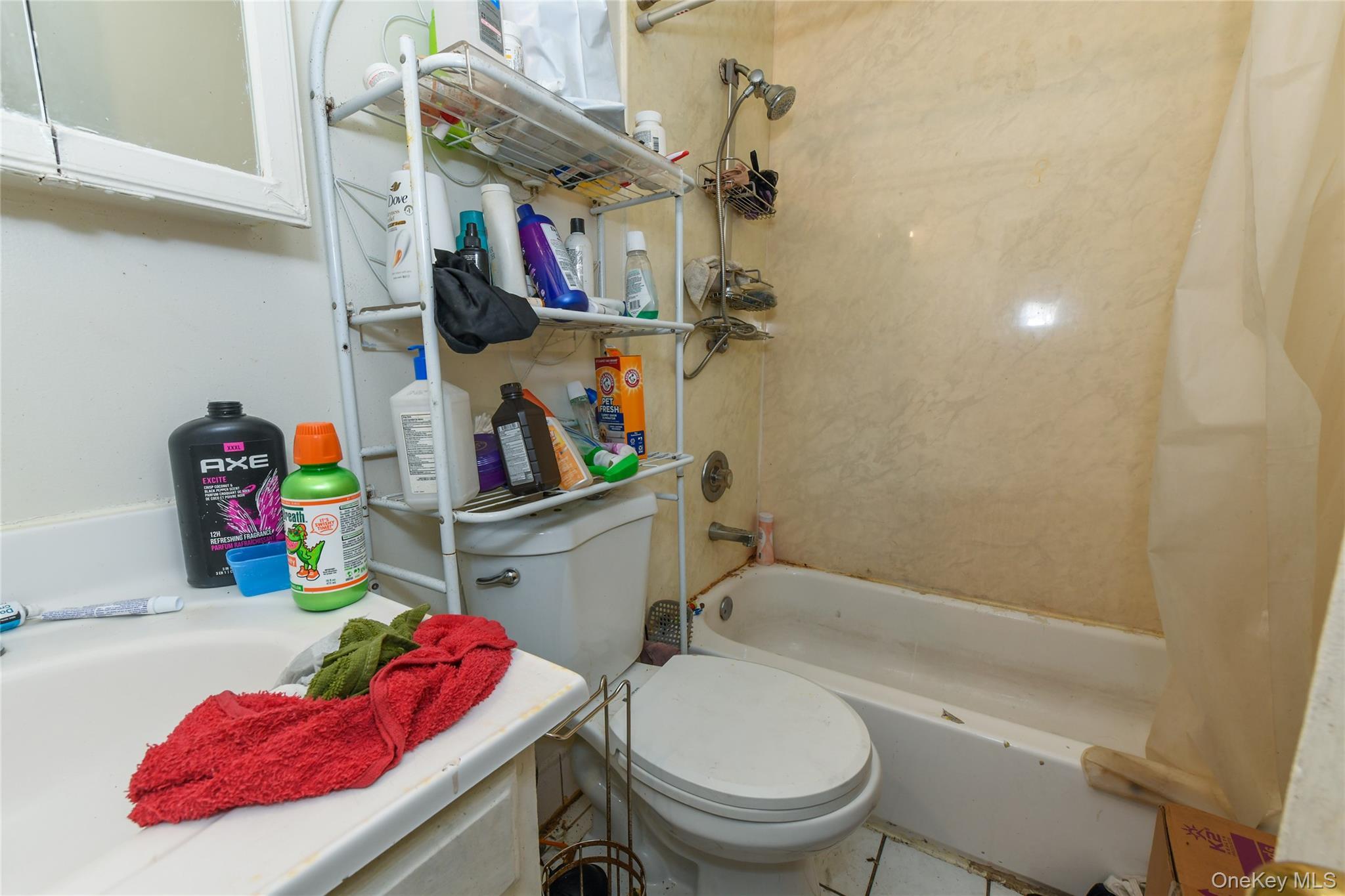 Single Family Sutphin Queens, NY 11435, MLS-896383-11