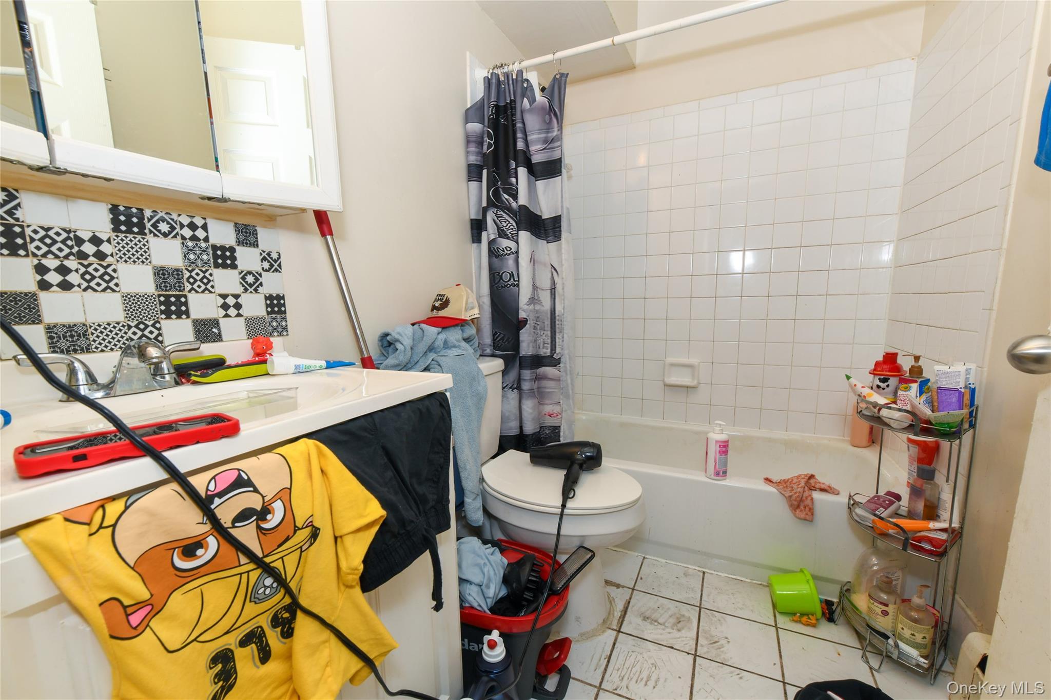 Single Family Sutphin Queens, NY 11435, MLS-896383-16