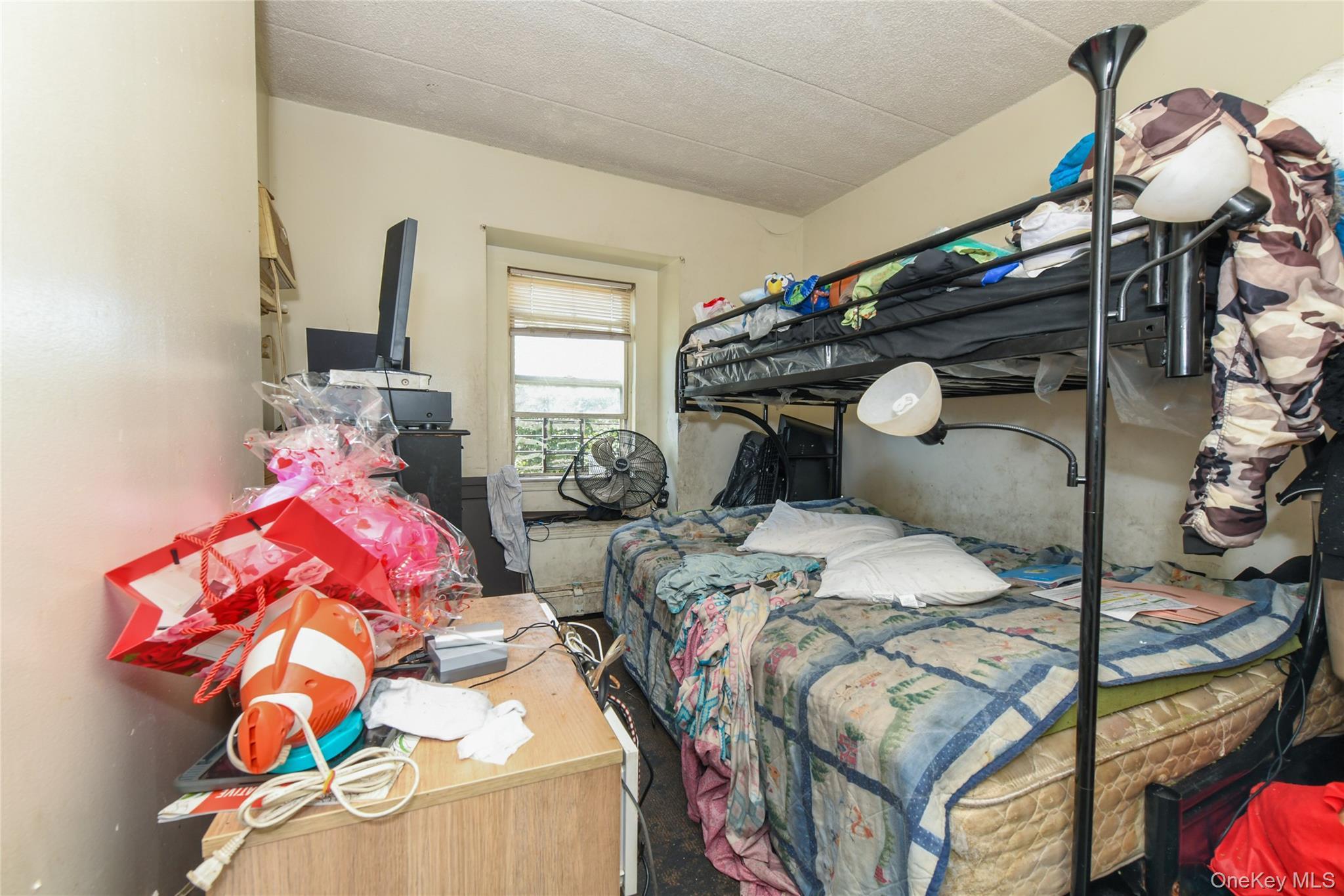 Single Family Sutphin Queens, NY 11435, MLS-896383-18