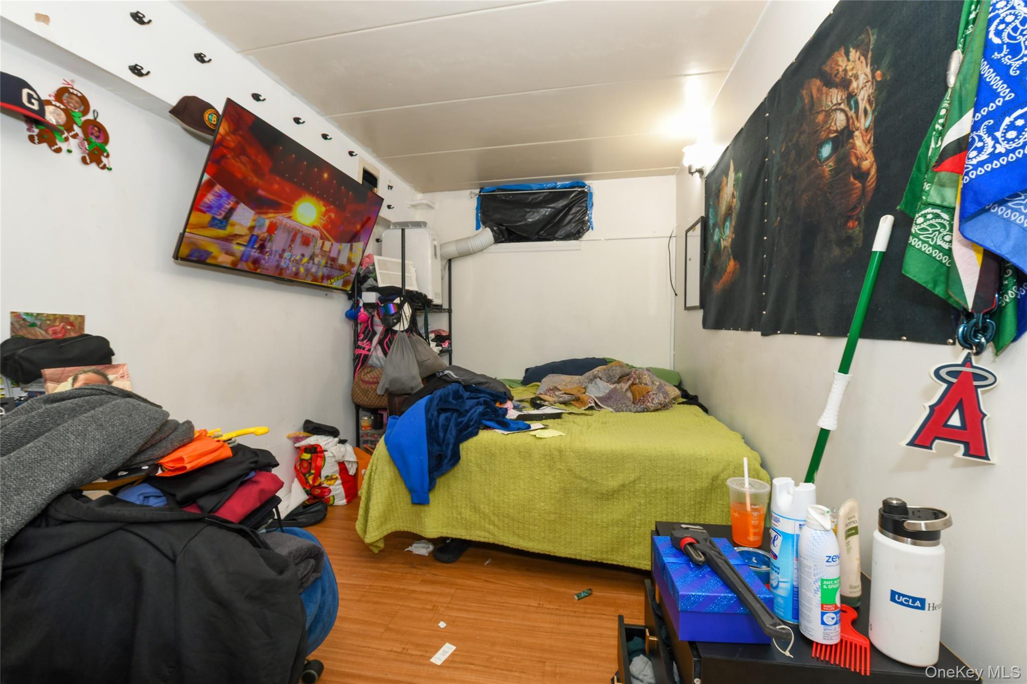 Single Family Sutphin Queens, NY 11435, MLS-896383-9