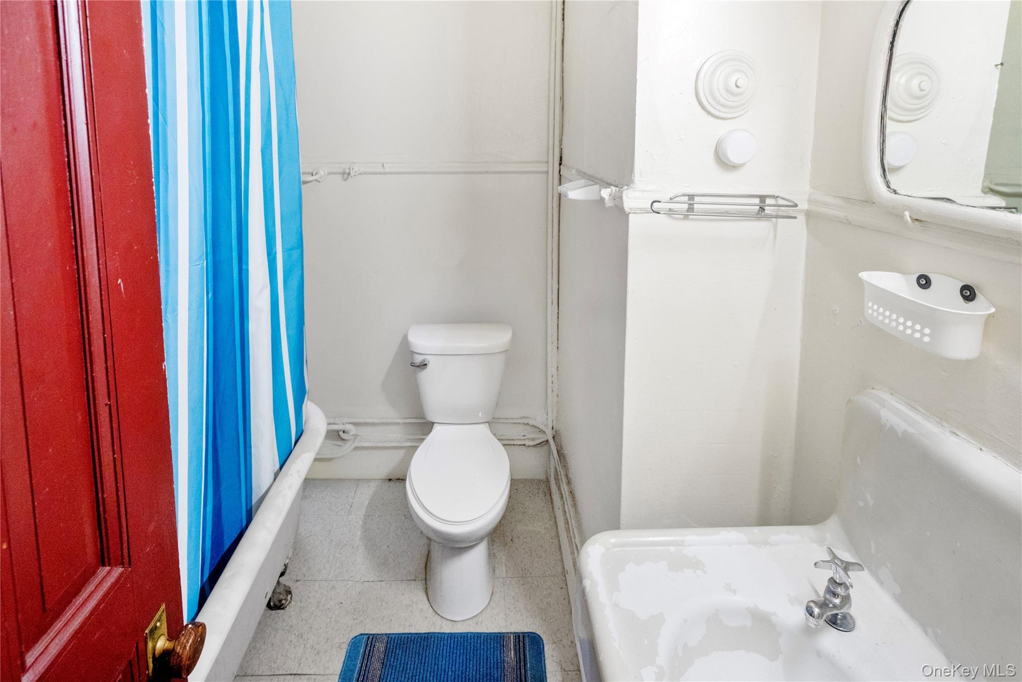 Single Family Halsey  Brooklyn, NY 11216, MLS-896412-11