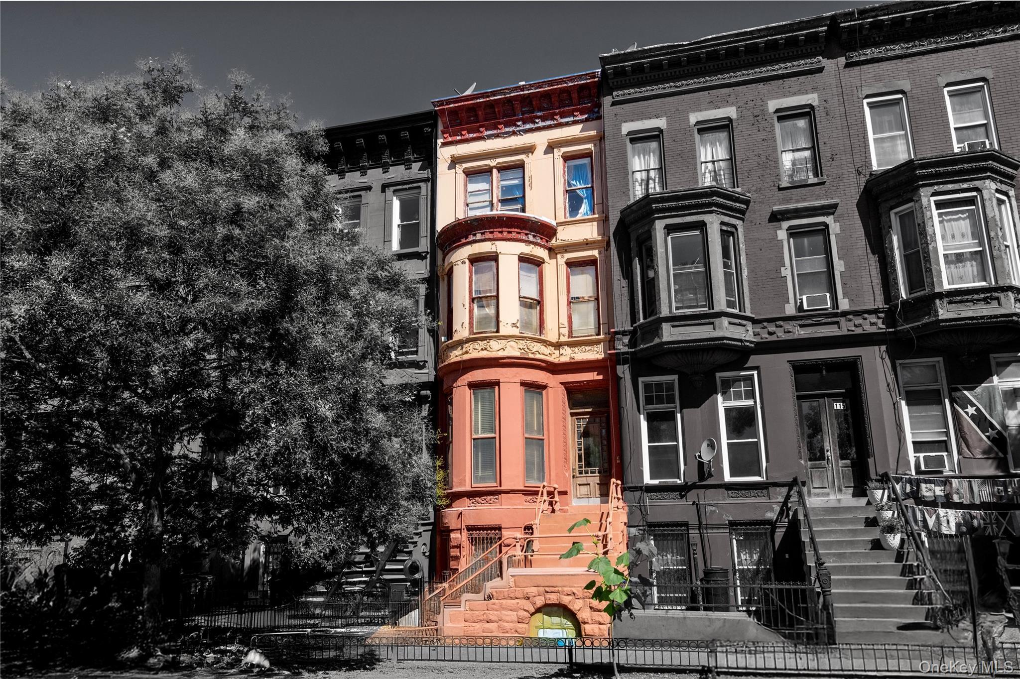 Single Family Halsey  Brooklyn, NY 11216, MLS-896412-2