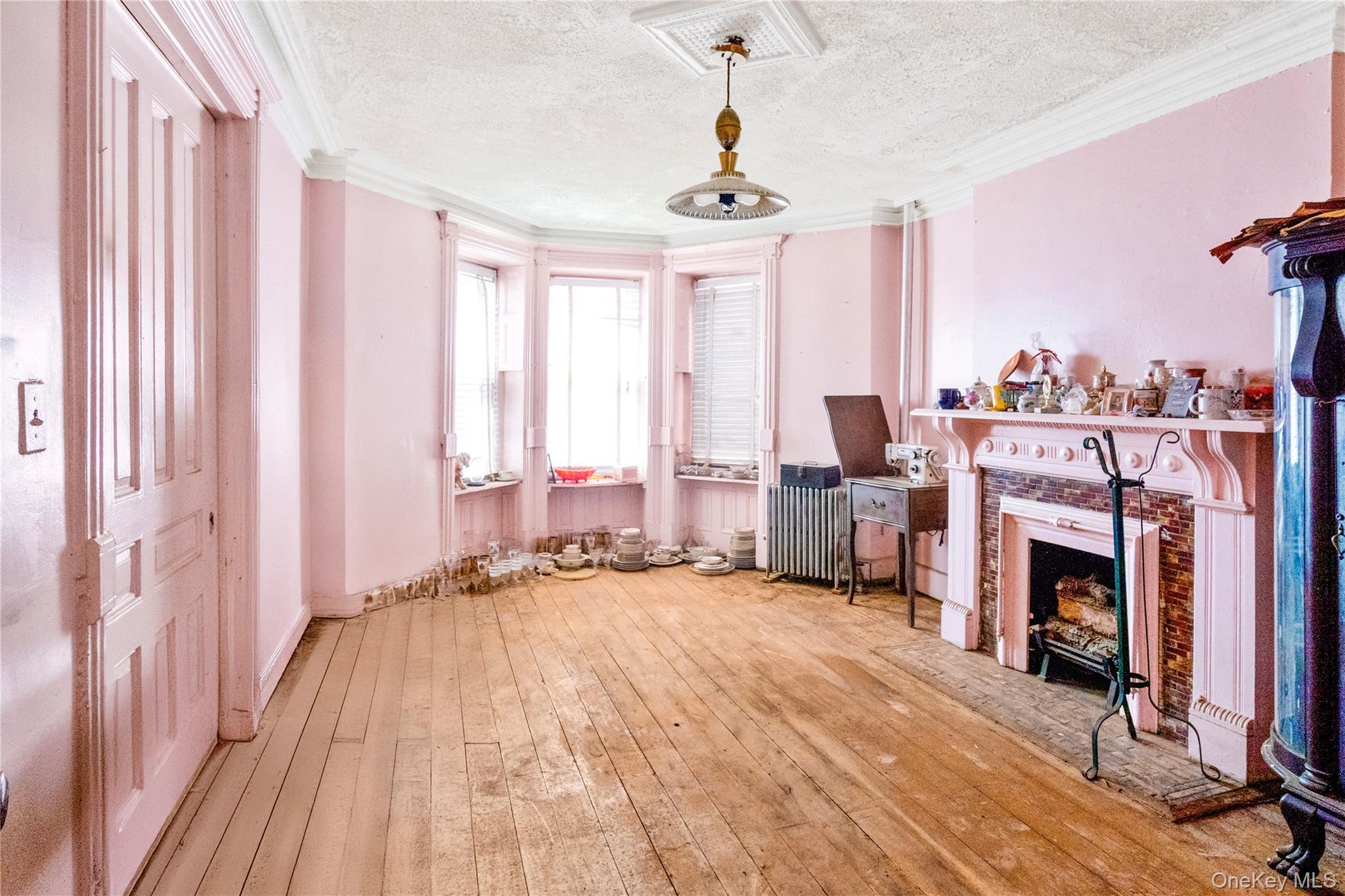 Single Family Halsey  Brooklyn, NY 11216, MLS-896412-4