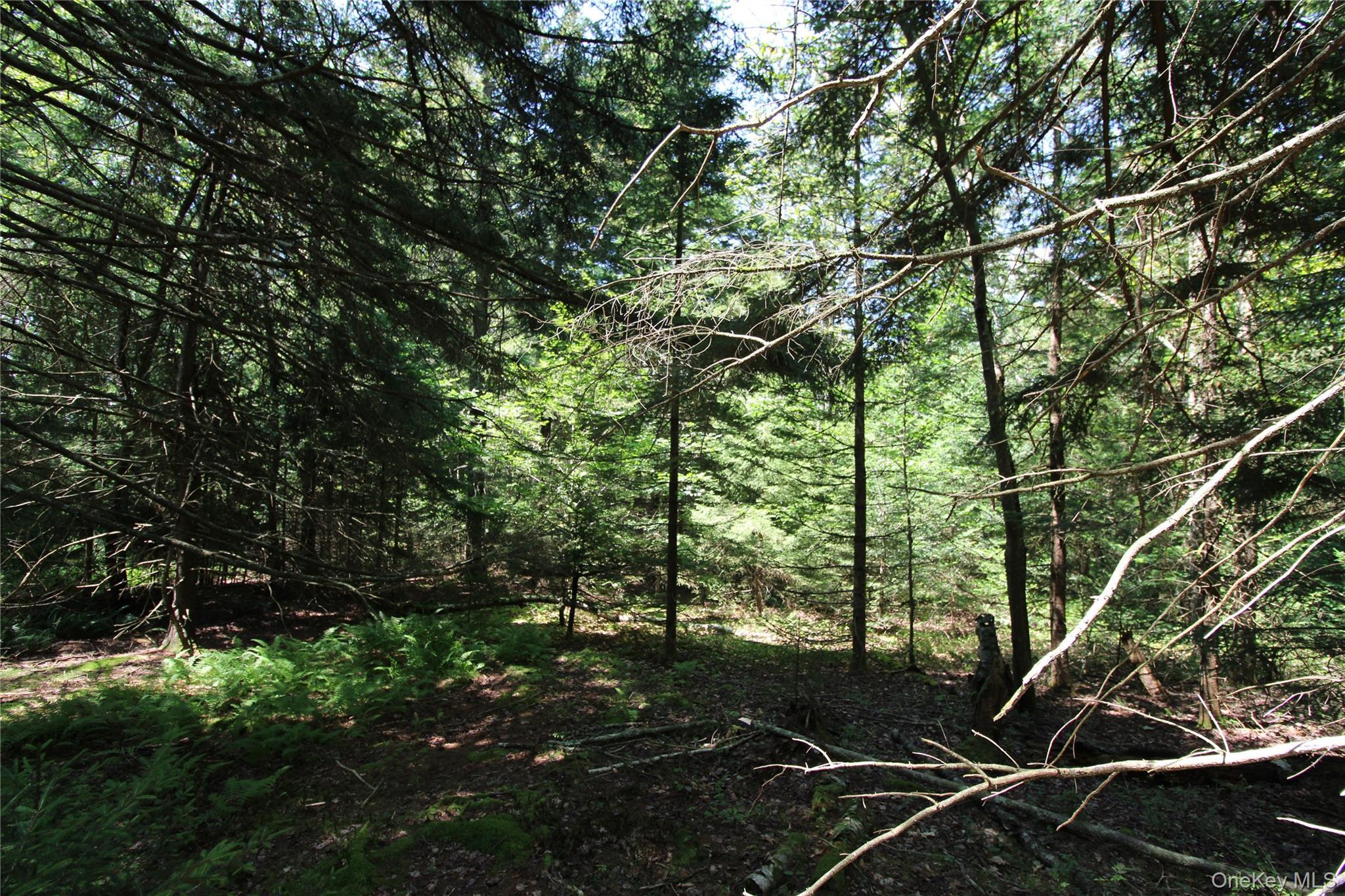 Single Family Cooley  Sullivan County, NY 12768, MLS-896417-18