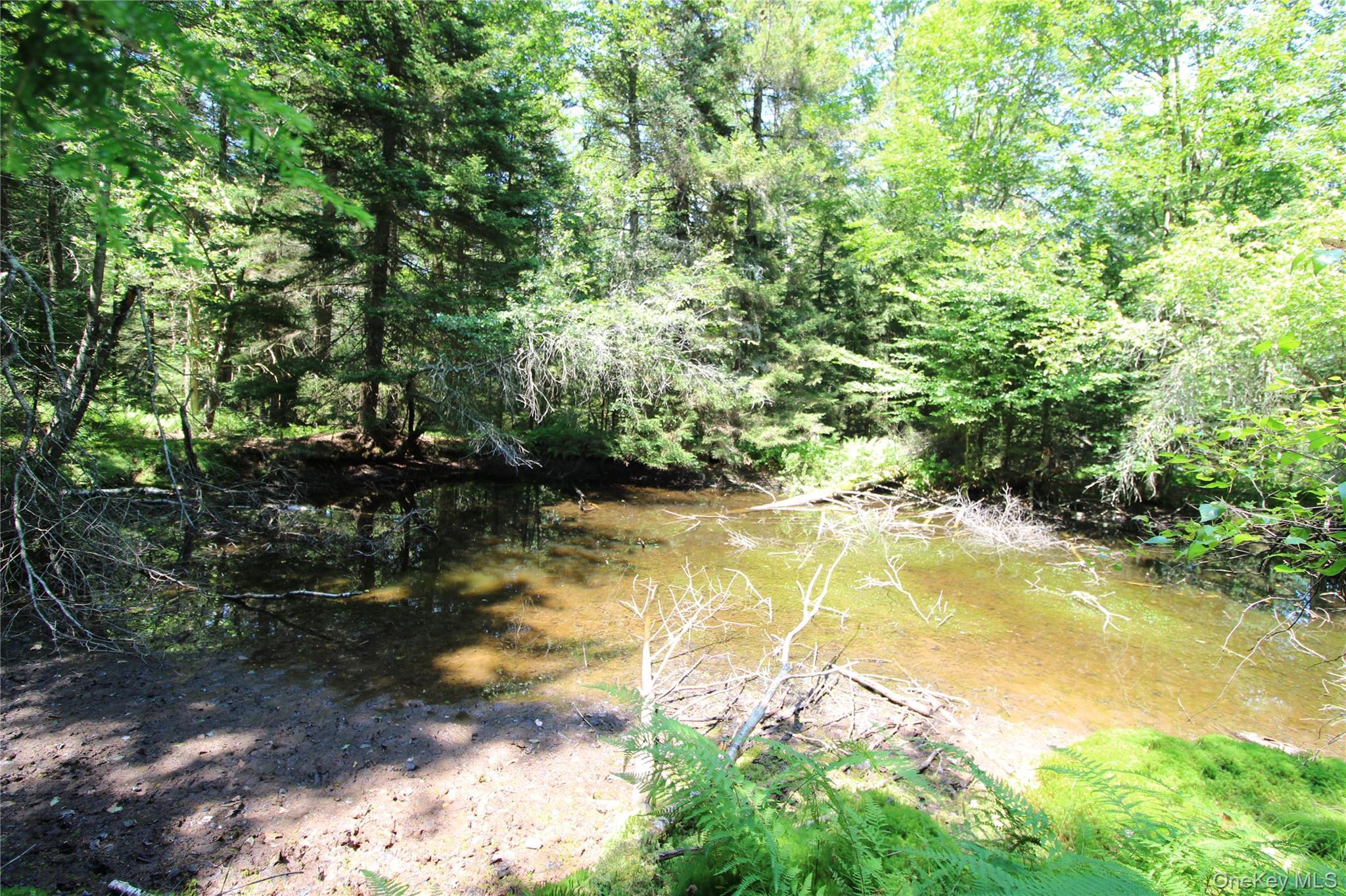 Single Family Cooley  Sullivan County, NY 12768, MLS-896417-19