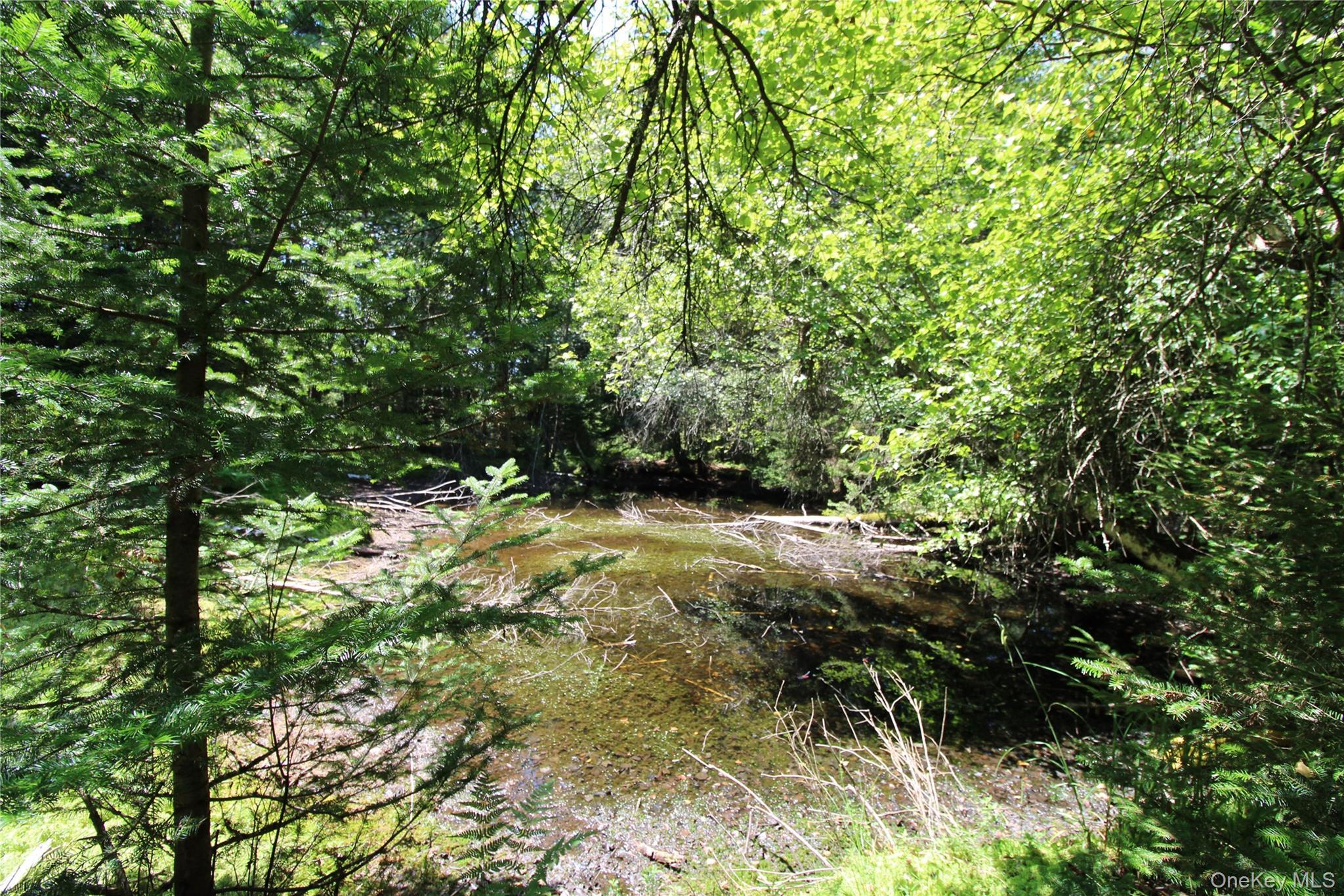 Single Family Cooley  Sullivan County, NY 12768, MLS-896417-22
