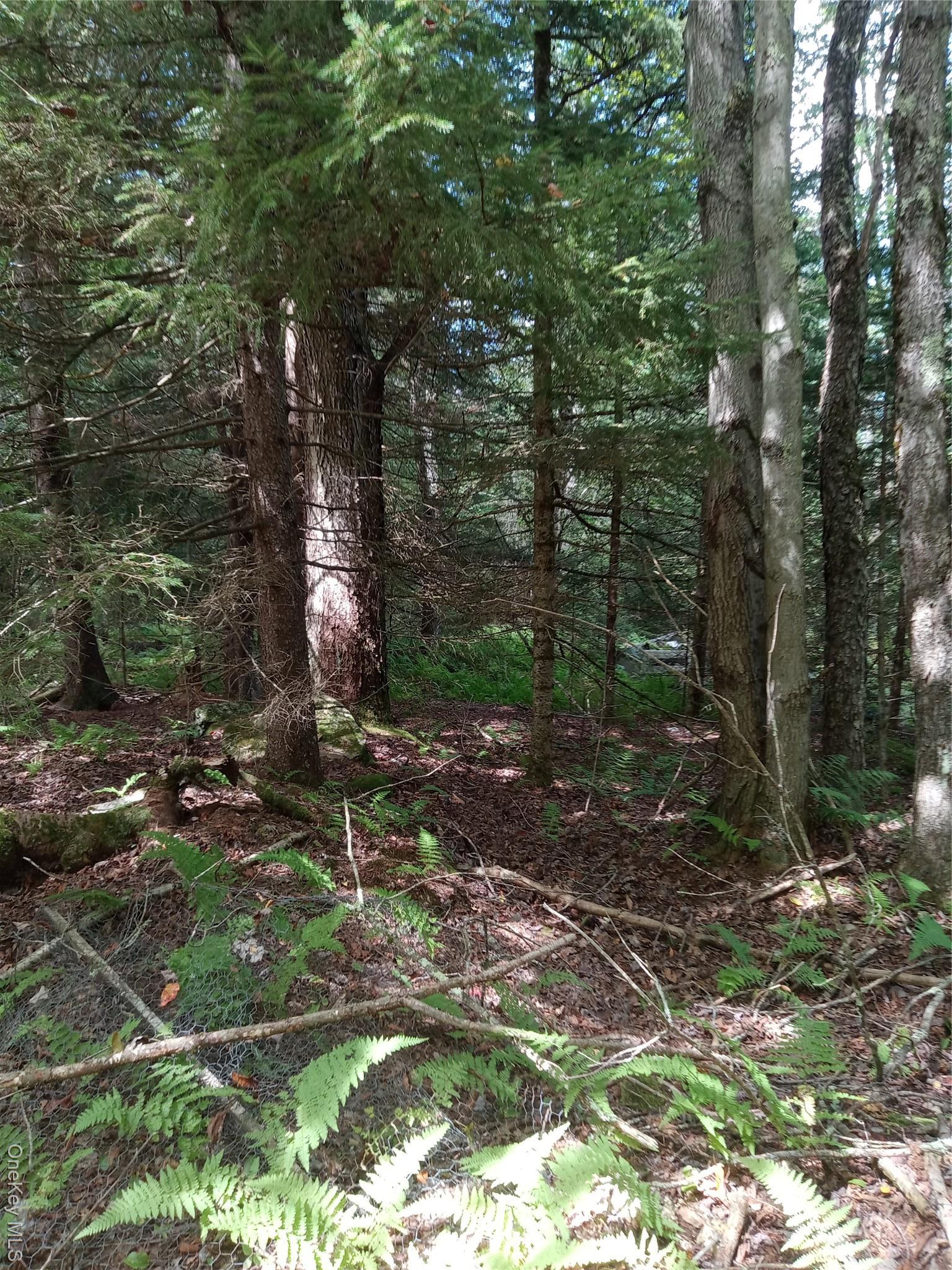 Single Family Cooley  Sullivan County, NY 12768, MLS-896417-25