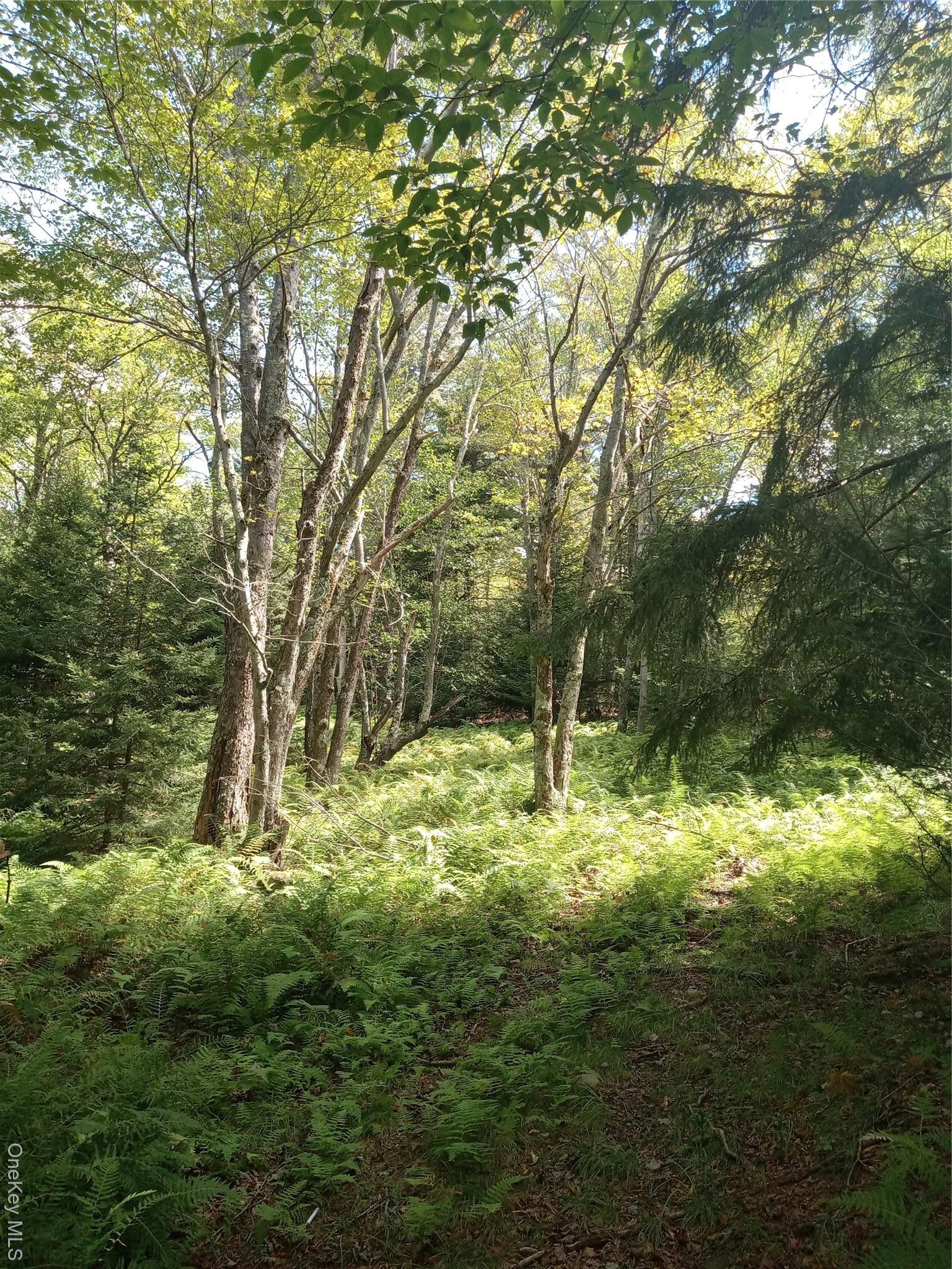Single Family Cooley  Sullivan County, NY 12768, MLS-896417-26