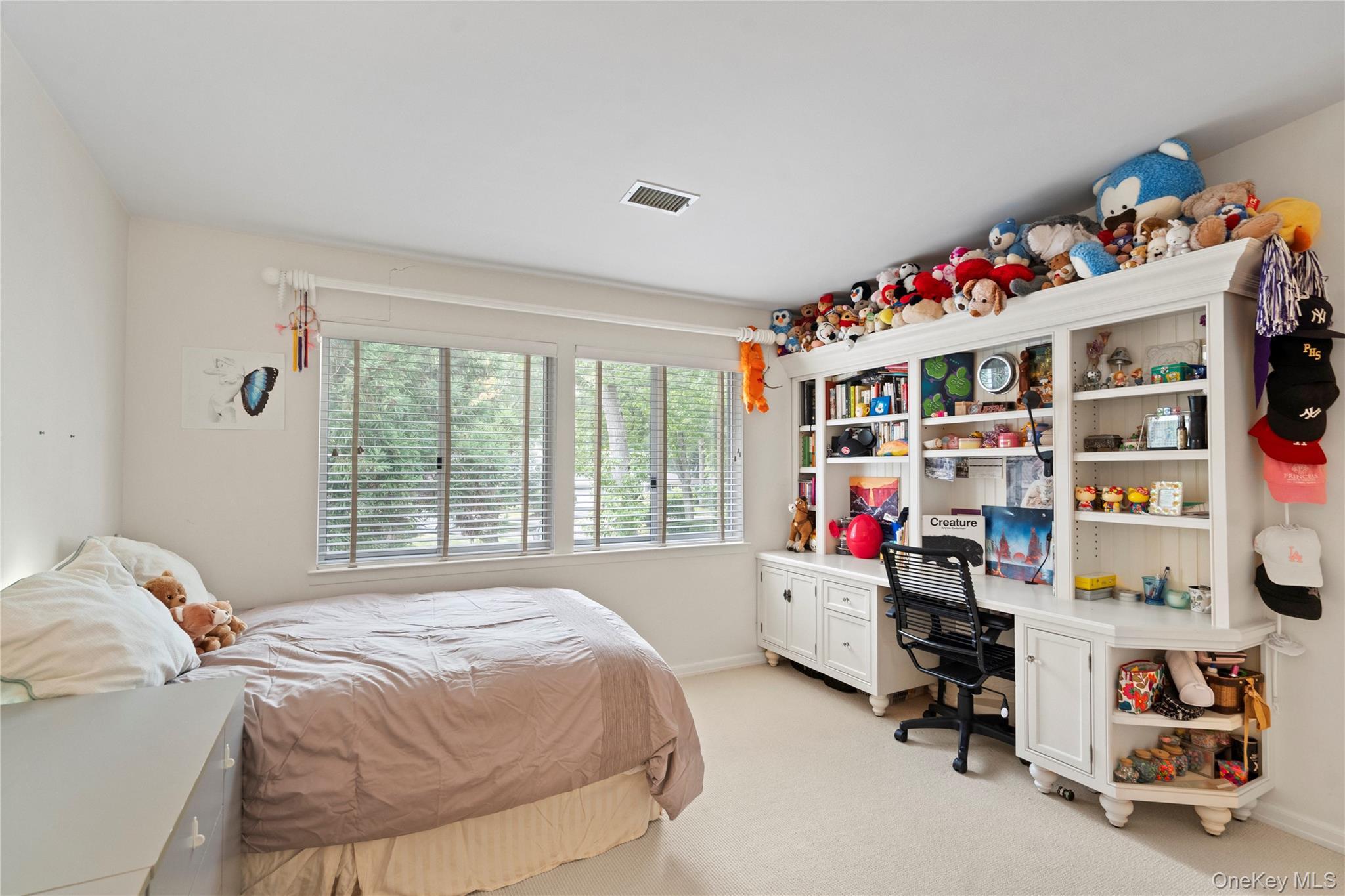 Condo Tiffany  Nassau County, NY 11030, MLS-896487-10