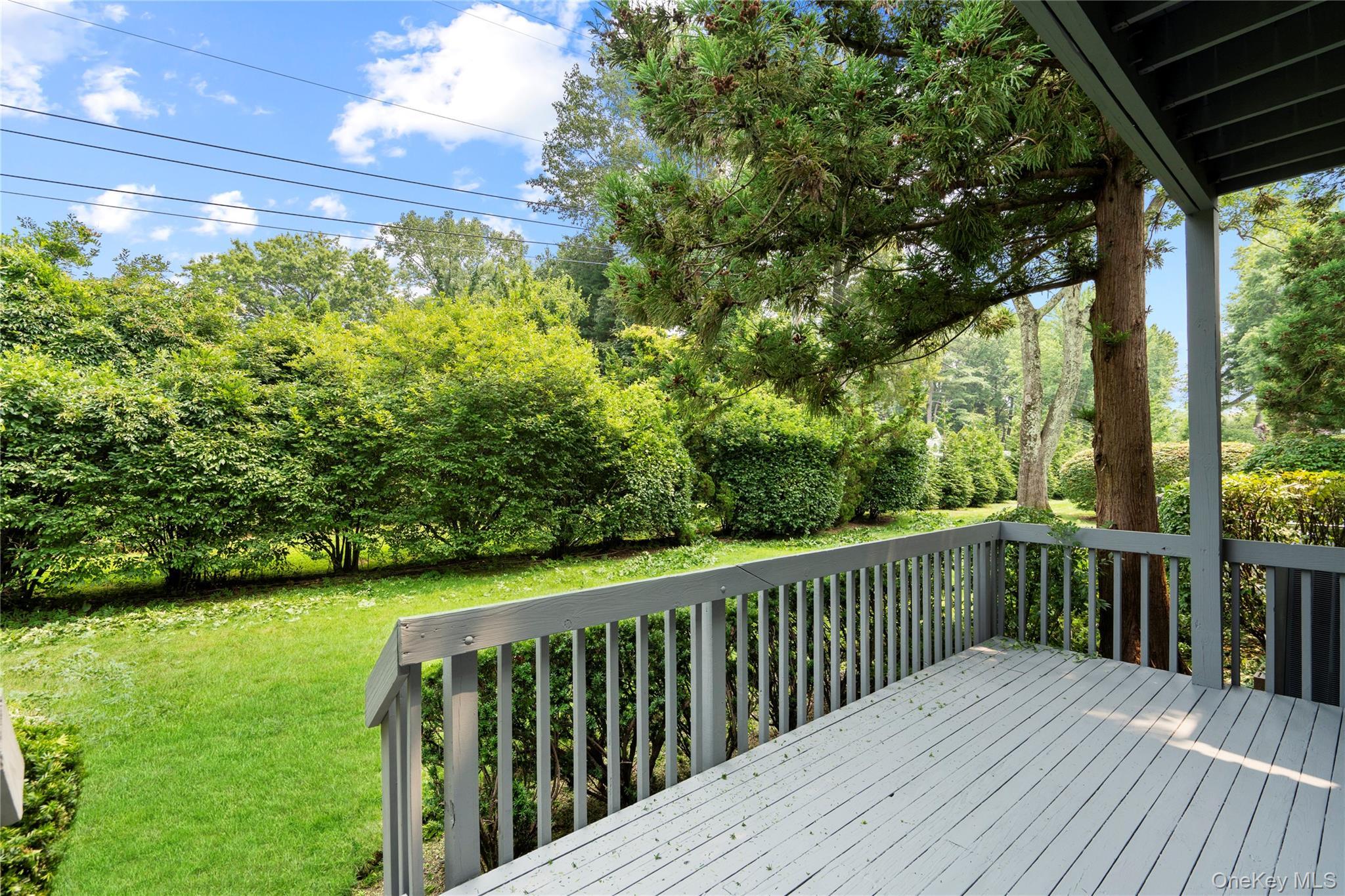 Condo Tiffany  Nassau County, NY 11030, MLS-896487-14