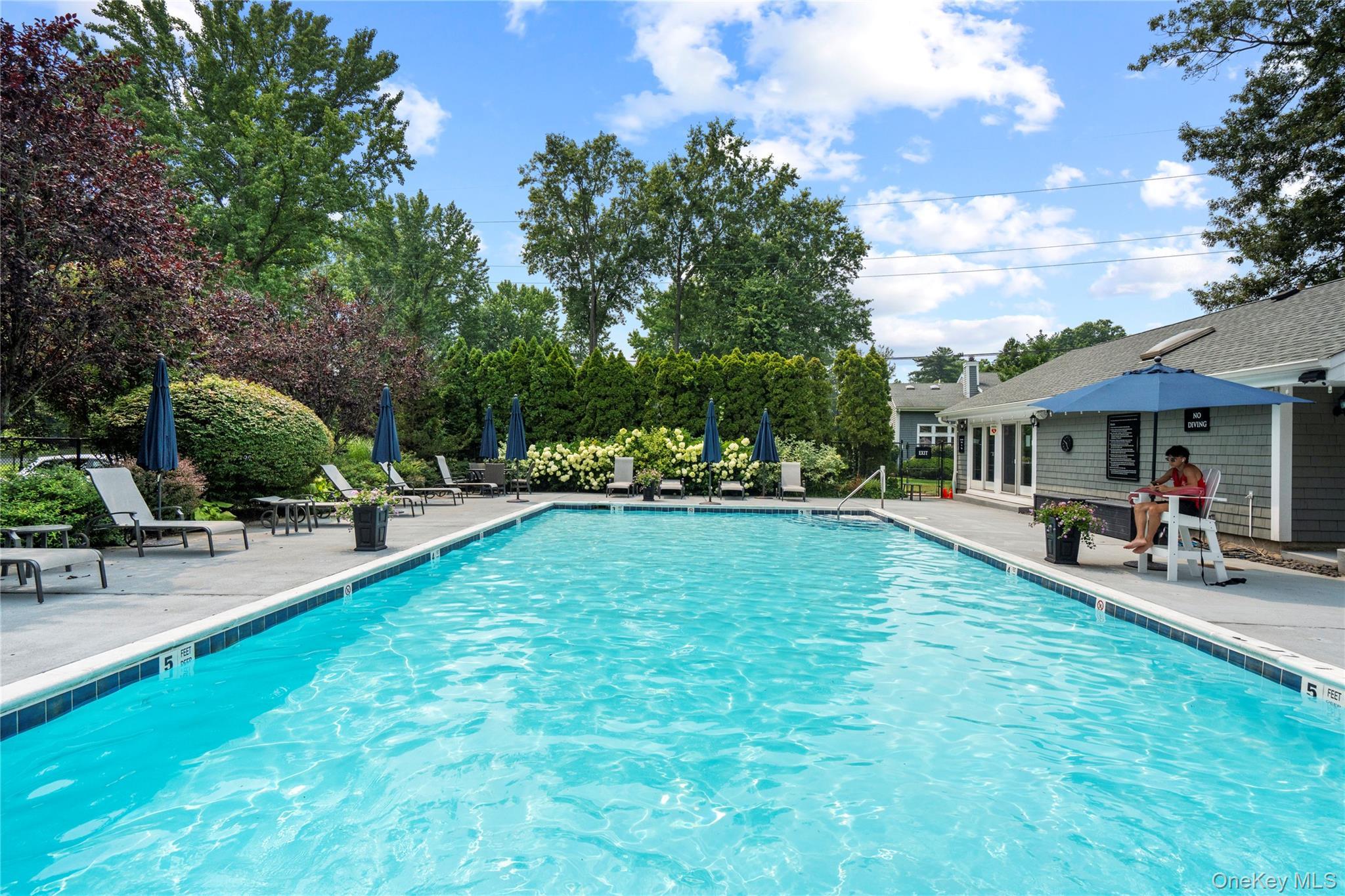 Condo Tiffany  Nassau County, NY 11030, MLS-896487-15