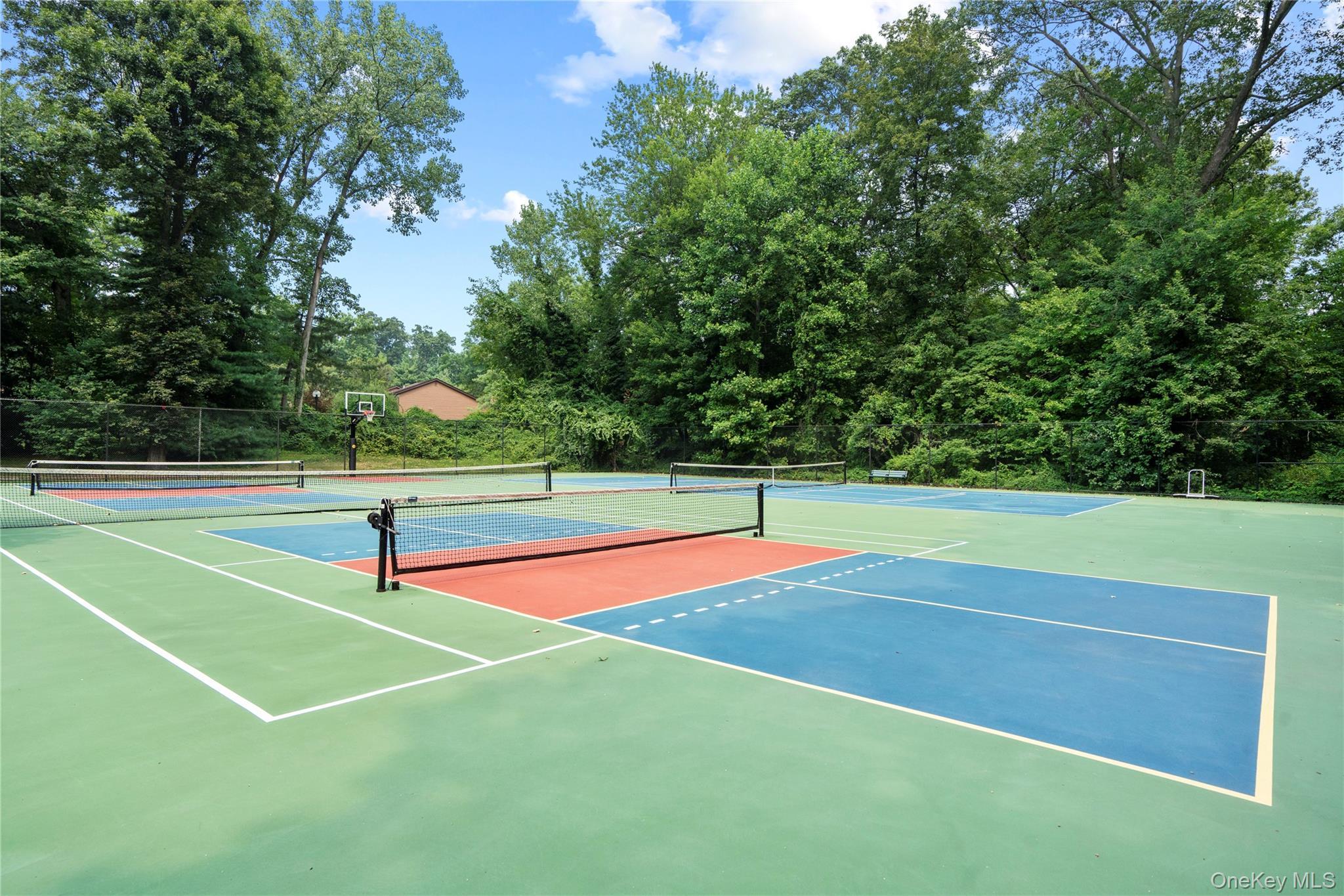 Condo Tiffany  Nassau County, NY 11030, MLS-896487-16