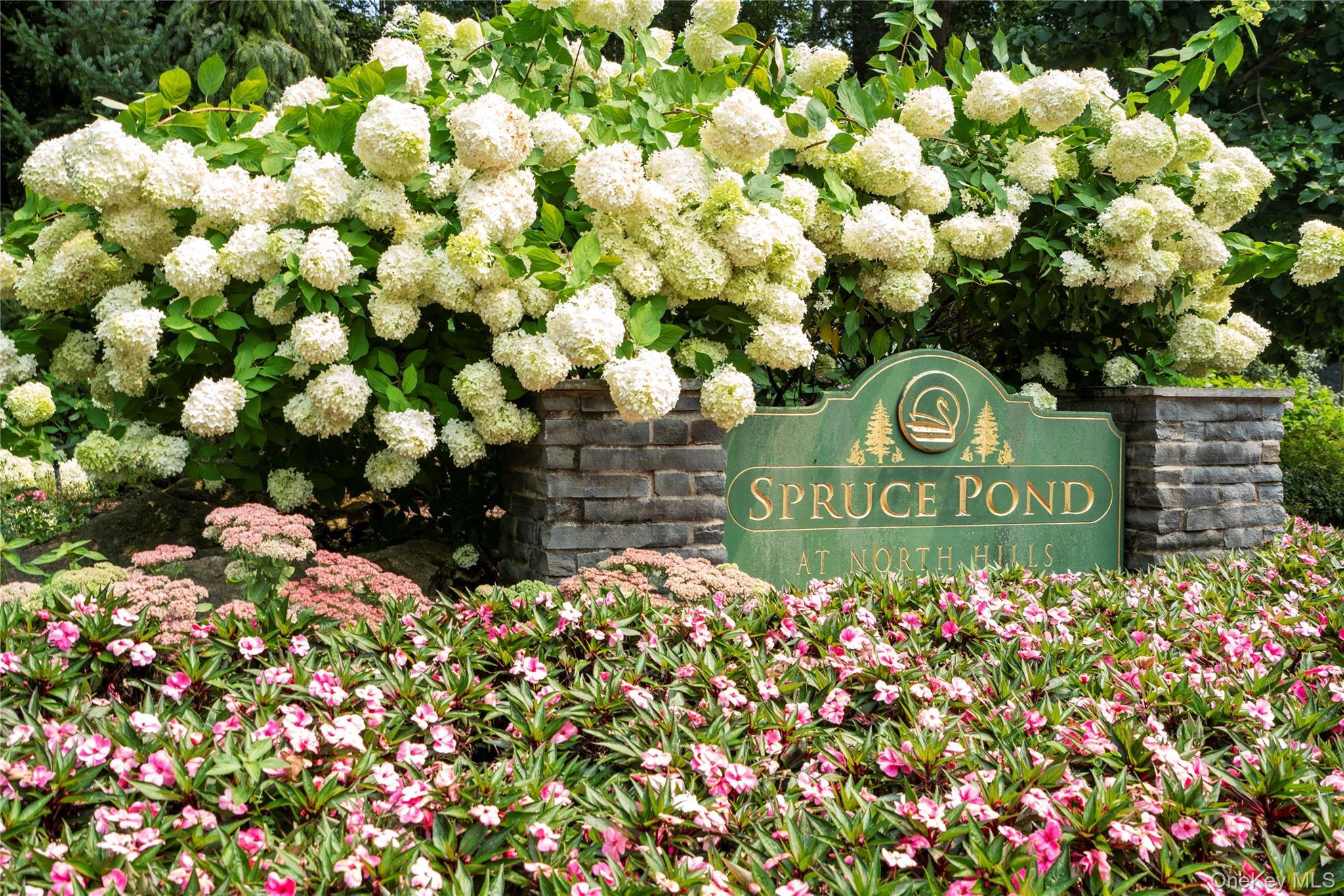 Condo Tiffany  Nassau County, NY 11030, MLS-896487-19