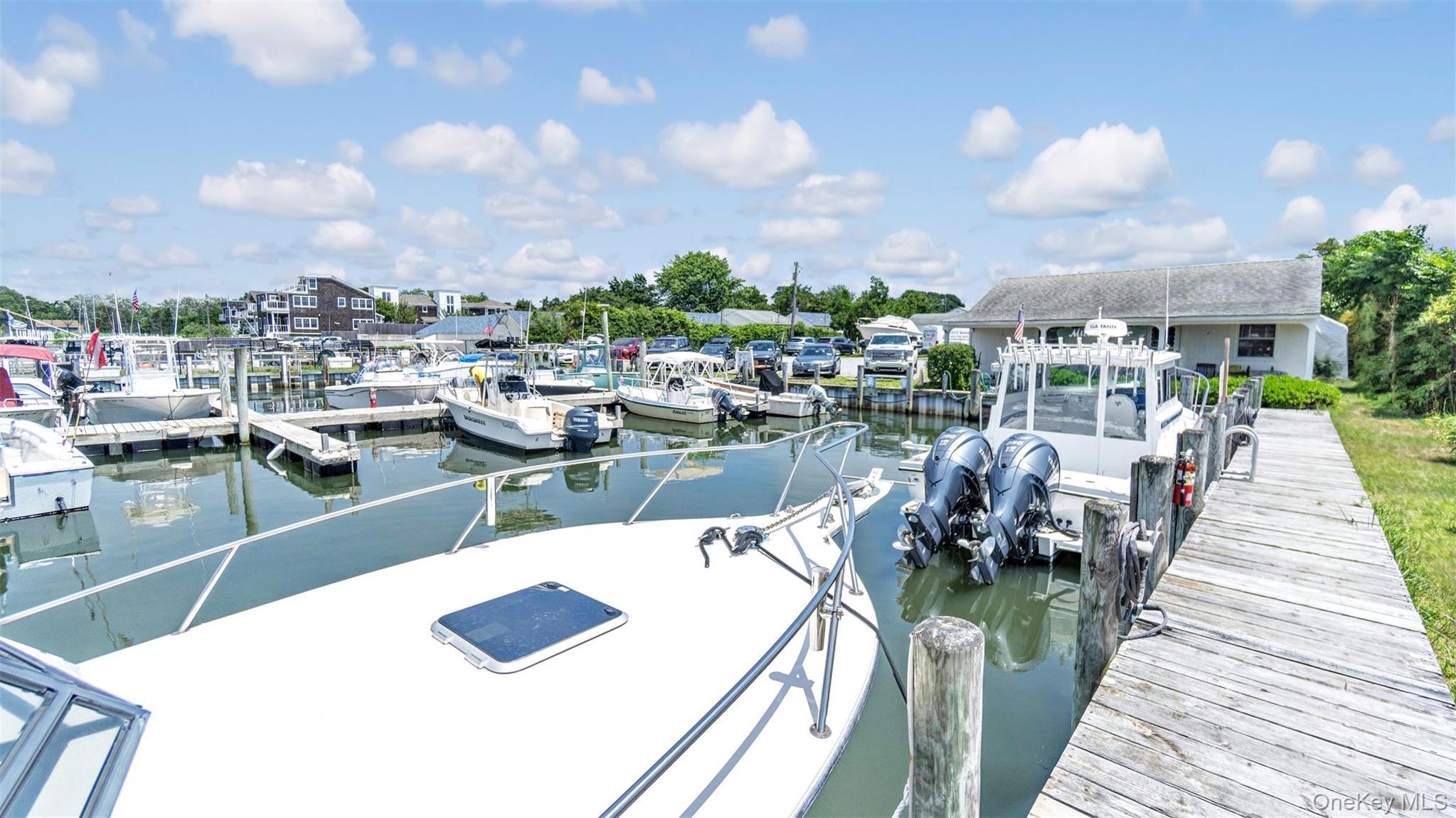 Single Family Foster Suffolk County, NY 11946, MLS-896525-25