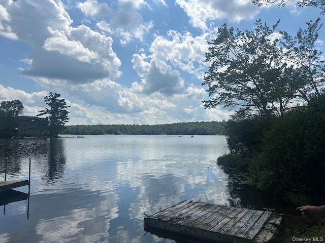 Single Family Park  Sullivan County, NY 12768, MLS-896559-17