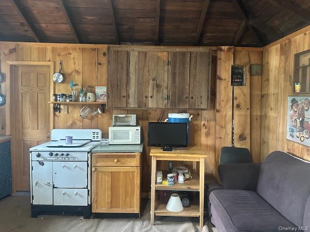 Single Family Park  Sullivan County, NY 12768, MLS-896559-21