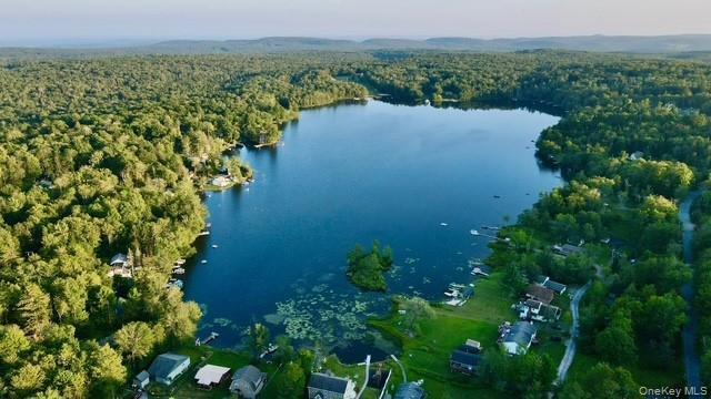 Single Family Park  Sullivan County, NY 12768, MLS-896559-4