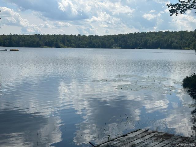 Single Family Park  Sullivan County, NY 12768, MLS-896559-7