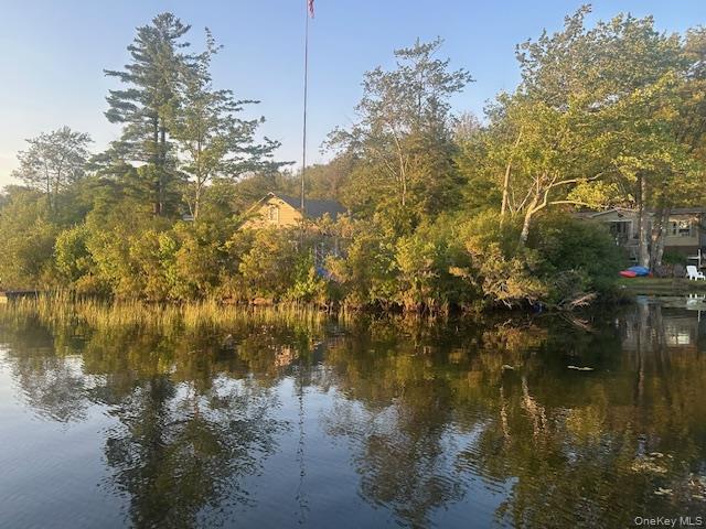 Single Family Park  Sullivan County, NY 12768, MLS-896559-9