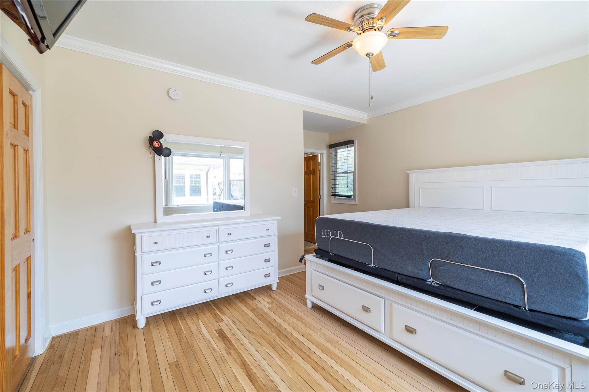 Single Family Barnes Nassau County, NY 11561, MLS-896591-6