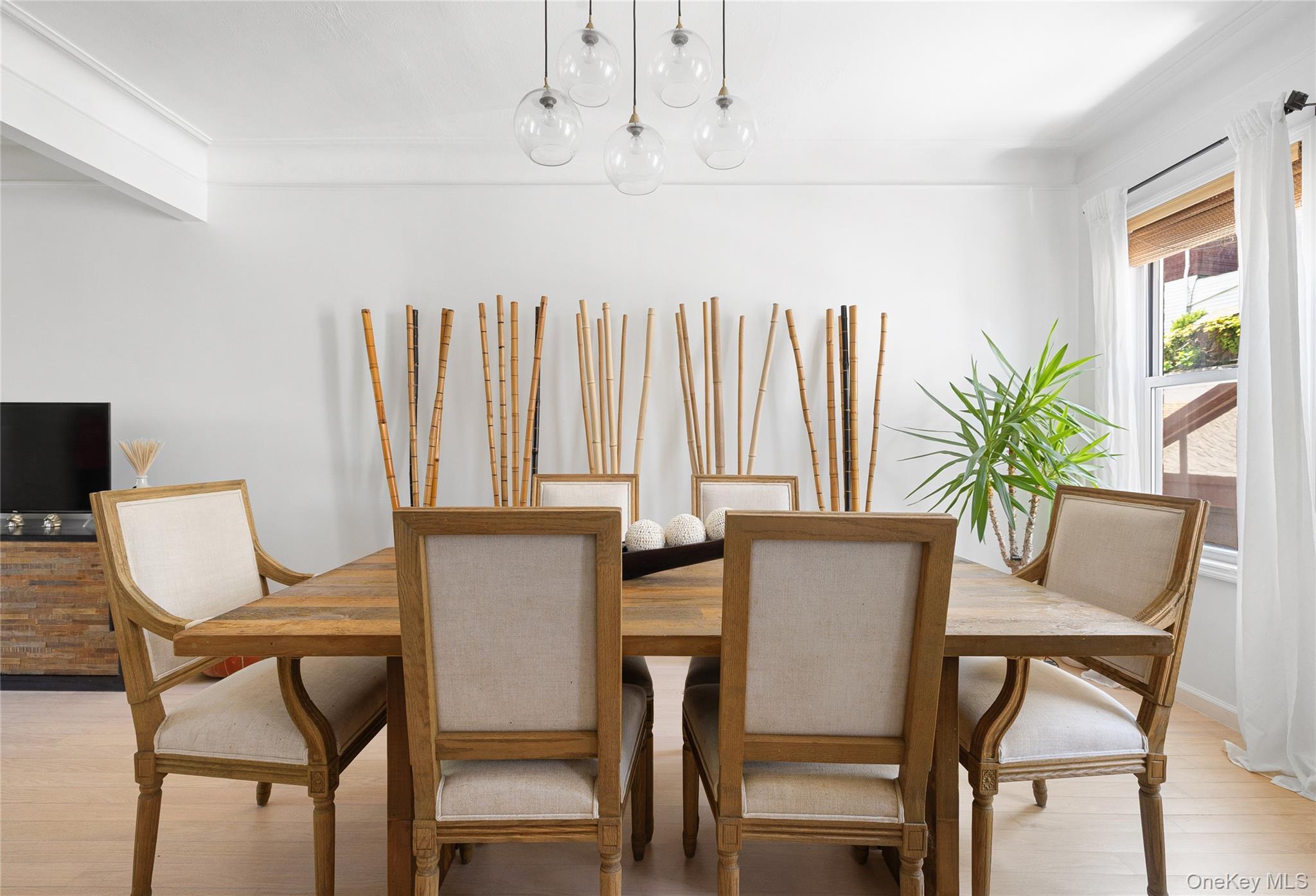 Single Family Wakeman Brooklyn, NY 11220, MLS-896593-11