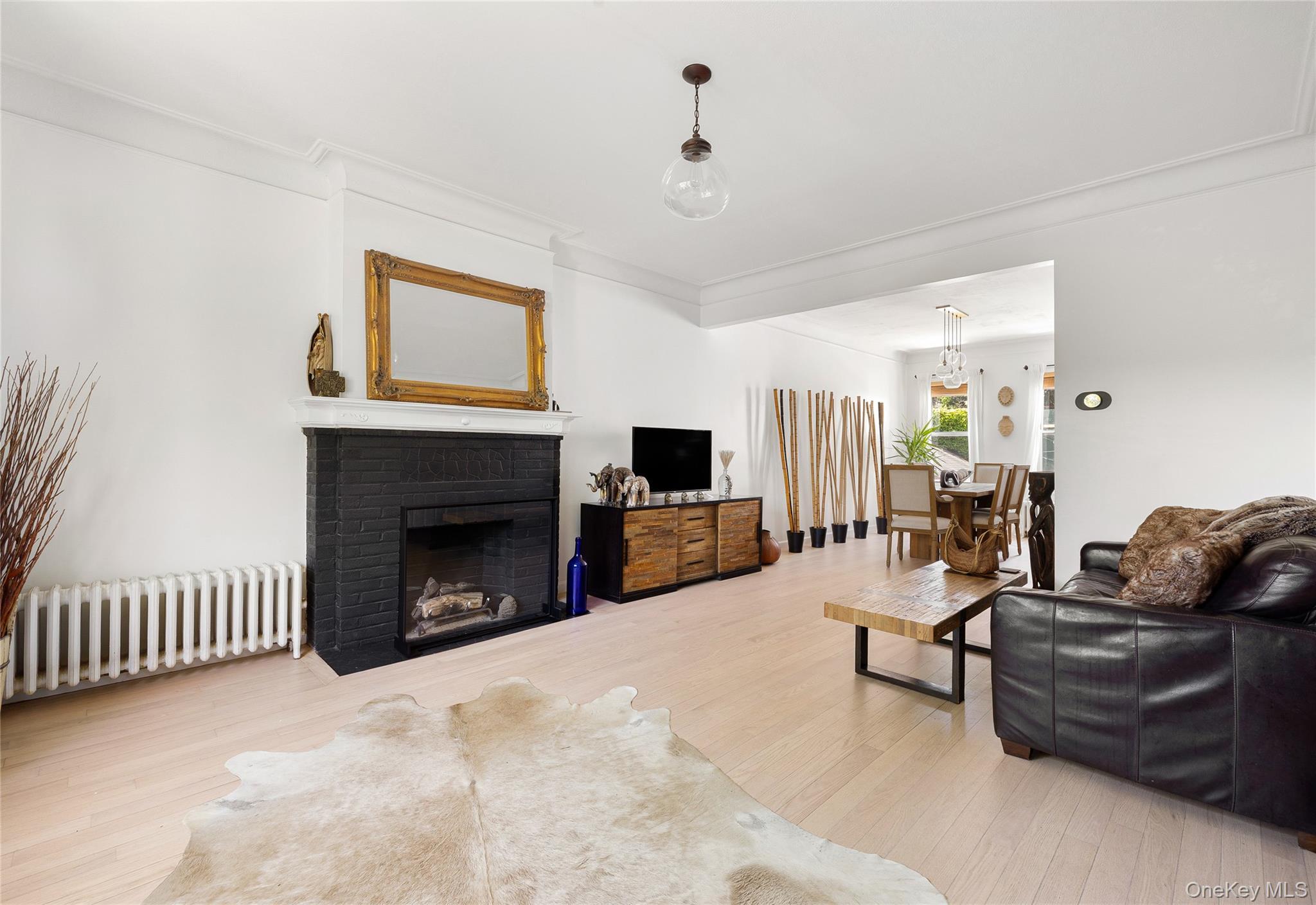 Single Family Wakeman Brooklyn, NY 11220, MLS-896593-4