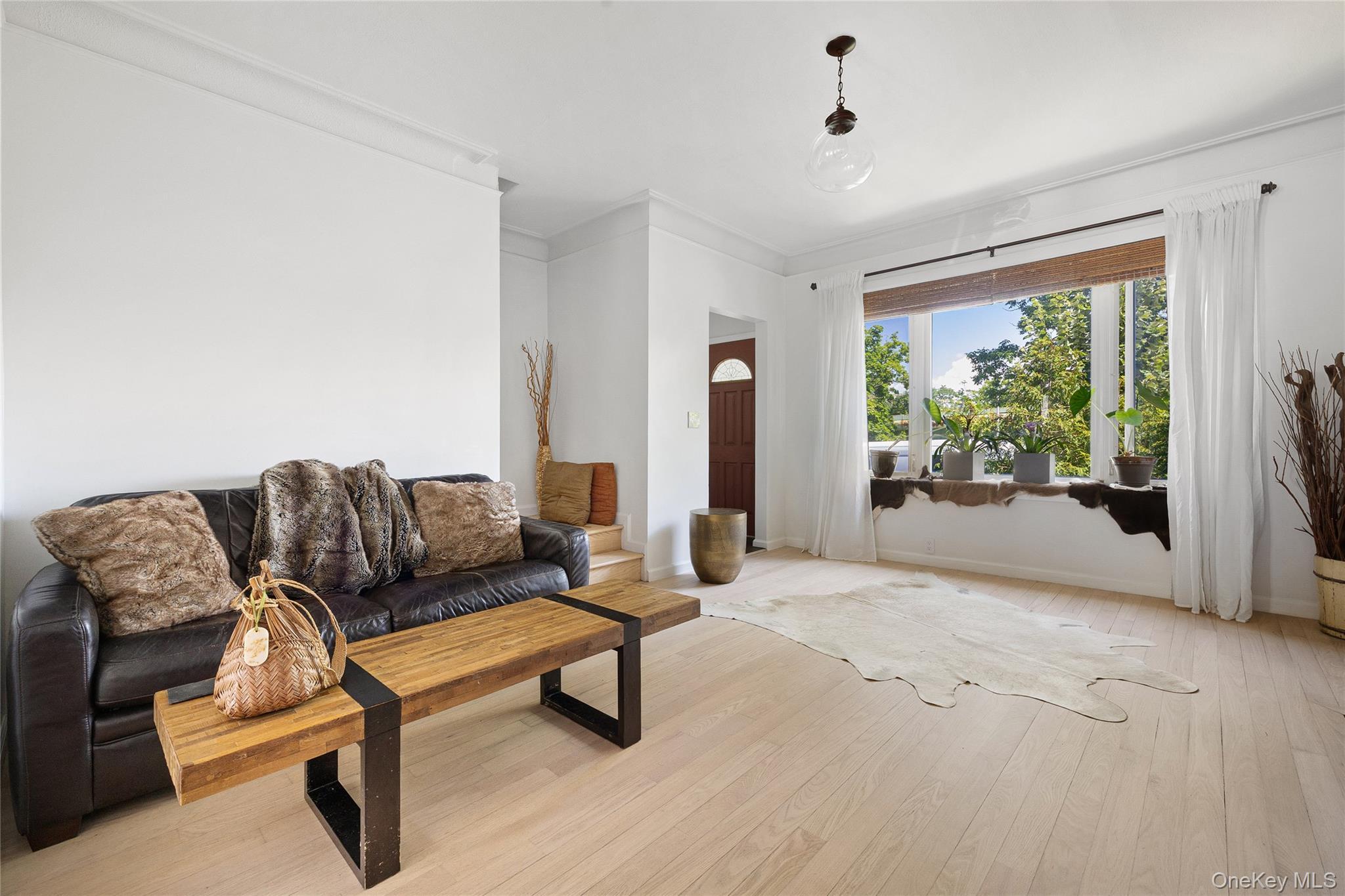 Single Family Wakeman Brooklyn, NY 11220, MLS-896593-7