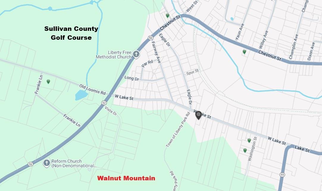 Single Family Lake Sullivan County, NY 12754, MLS-896715-15