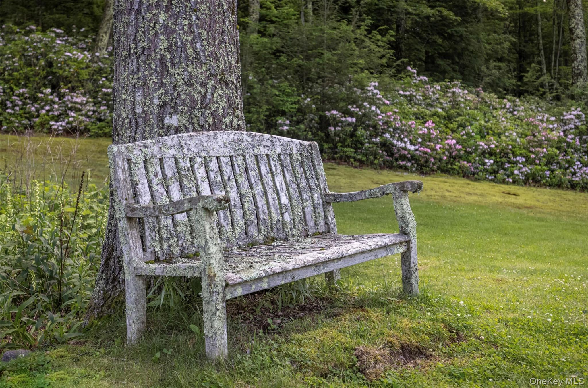 Single Family Newcut Ulster County, NY 12498, MLS-896885-32