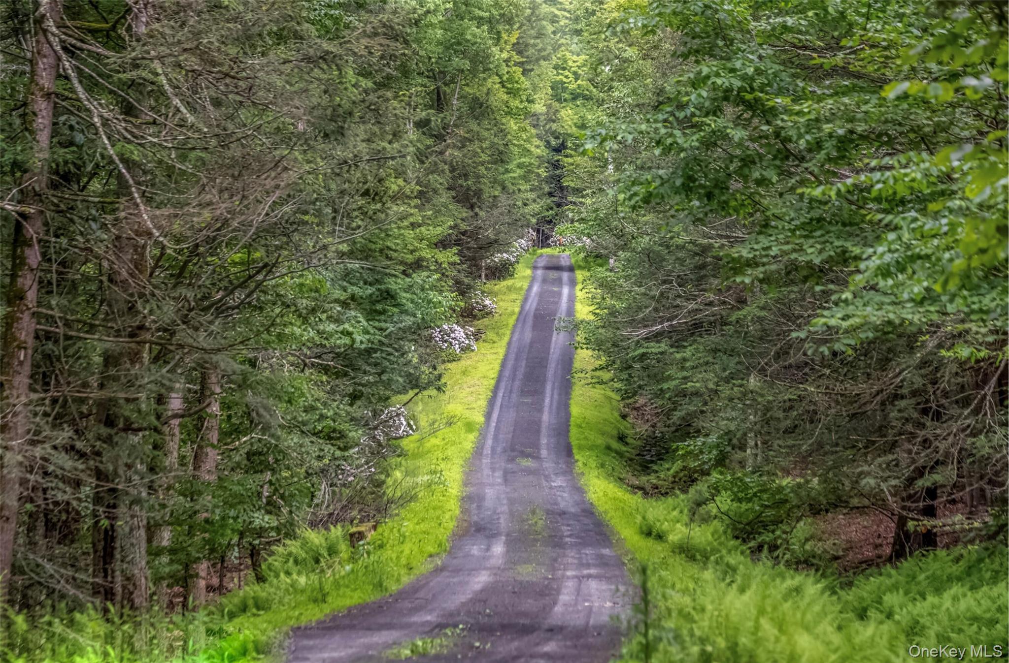 Single Family Newcut Ulster County, NY 12498, MLS-896885-48