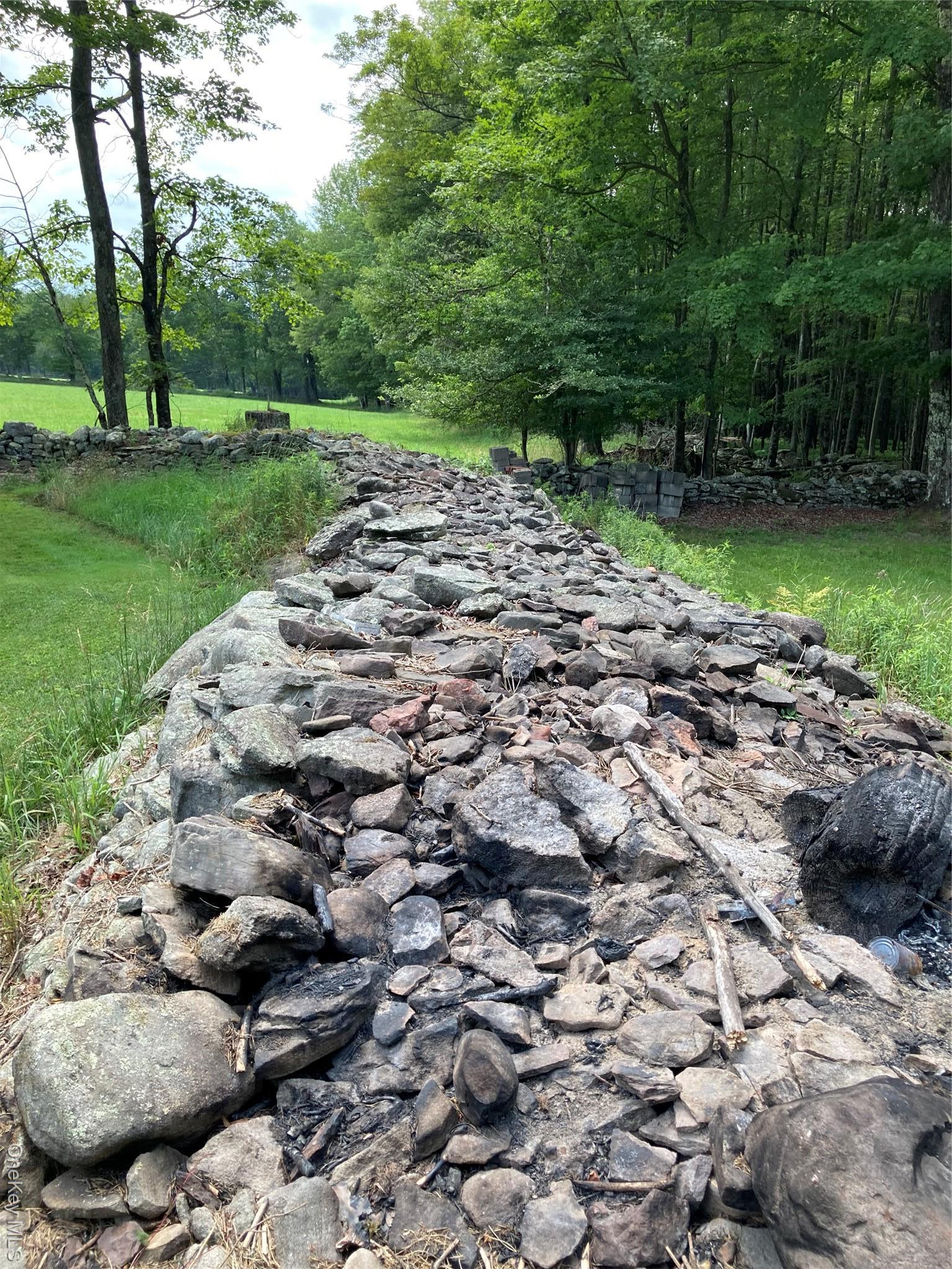 Single Family Rose Road  Sullivan County, NY 12788, MLS-896939-10