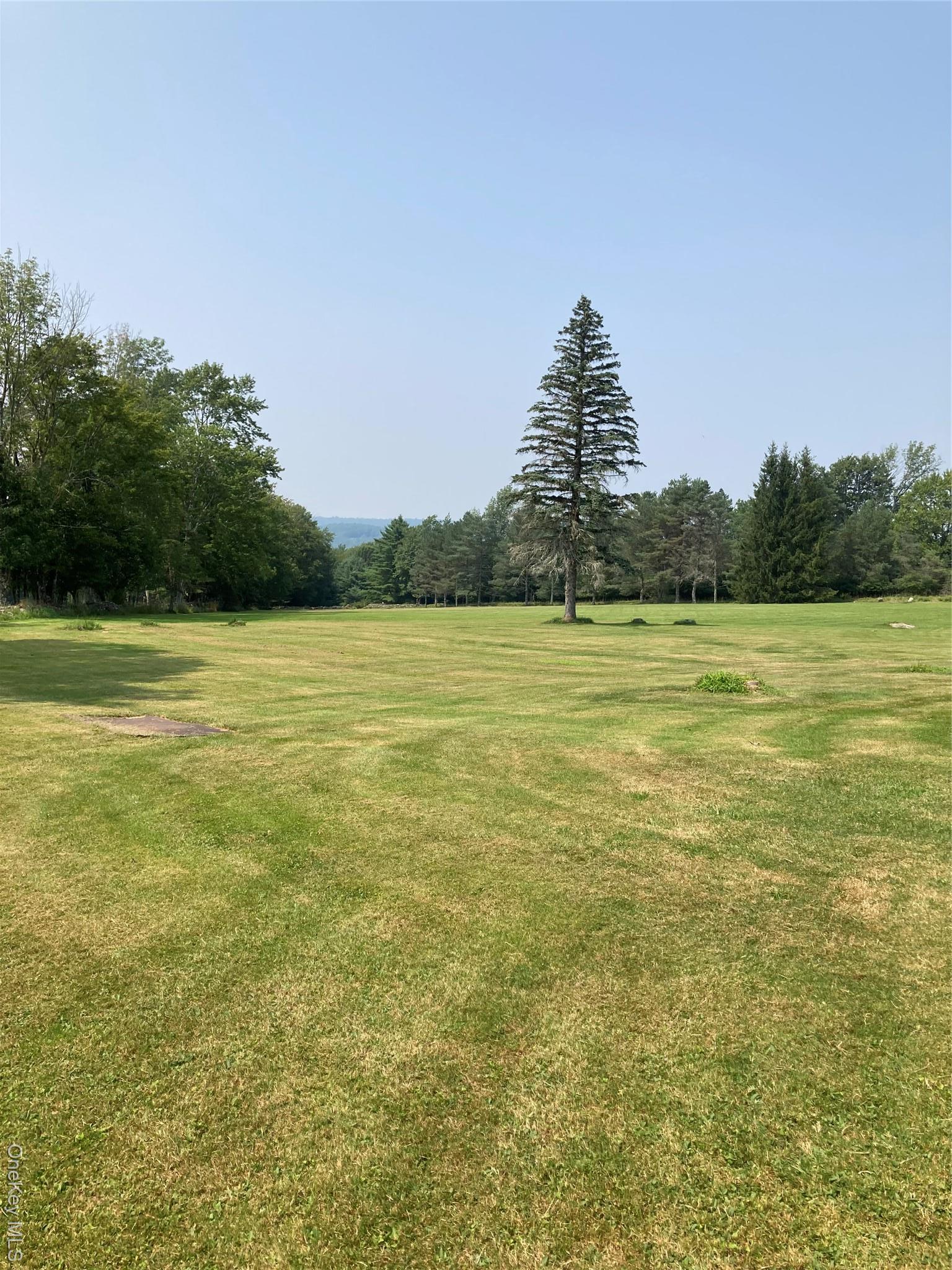 Single Family Rose Road  Sullivan County, NY 12788, MLS-896939-27