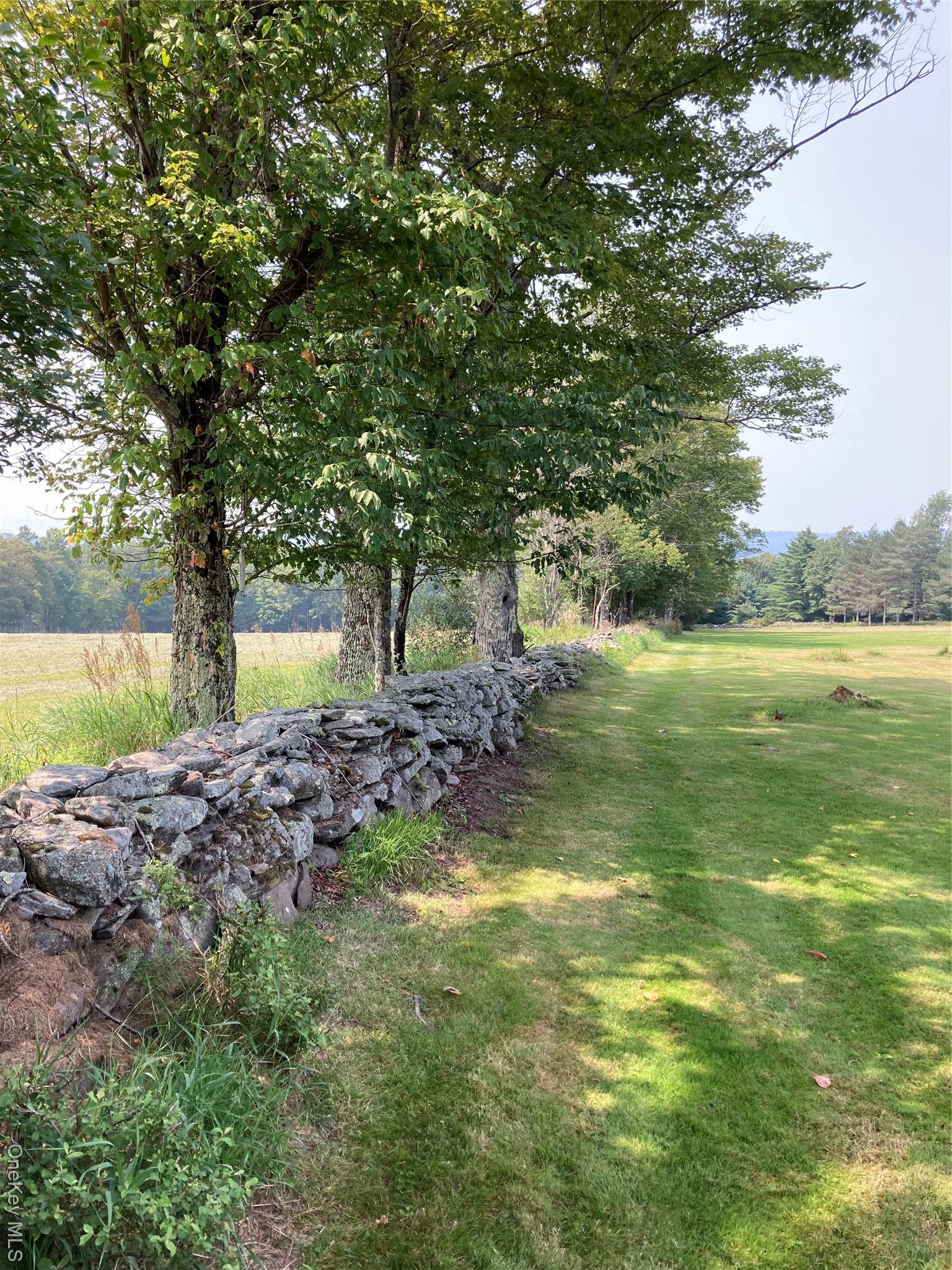 Single Family Rose Road  Sullivan County, NY 12788, MLS-896939-28